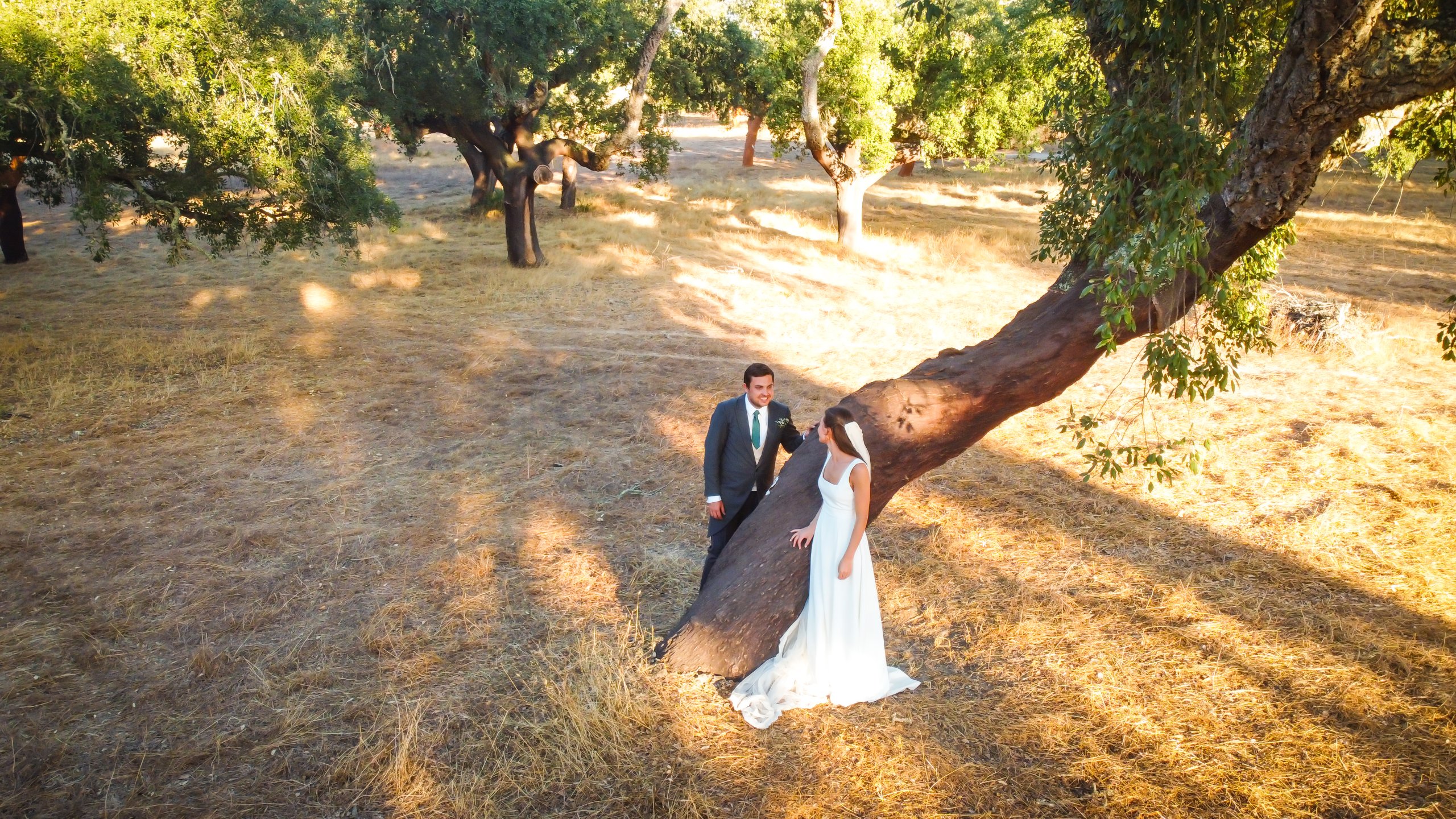 Hochzeit im Alentejo (Grândola), September 2024 – Foto 22 von 29, fotografiert von David B.