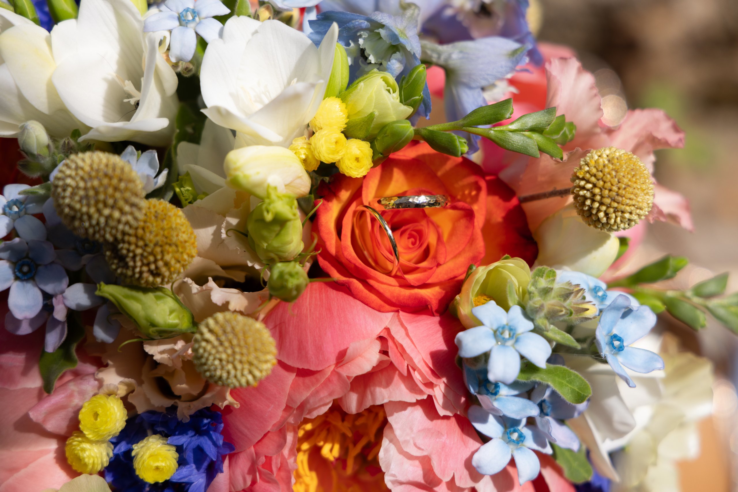 Wedding in Barcelona & Catalonia (Mas Canovas), March 2025, photographed by Asia V.