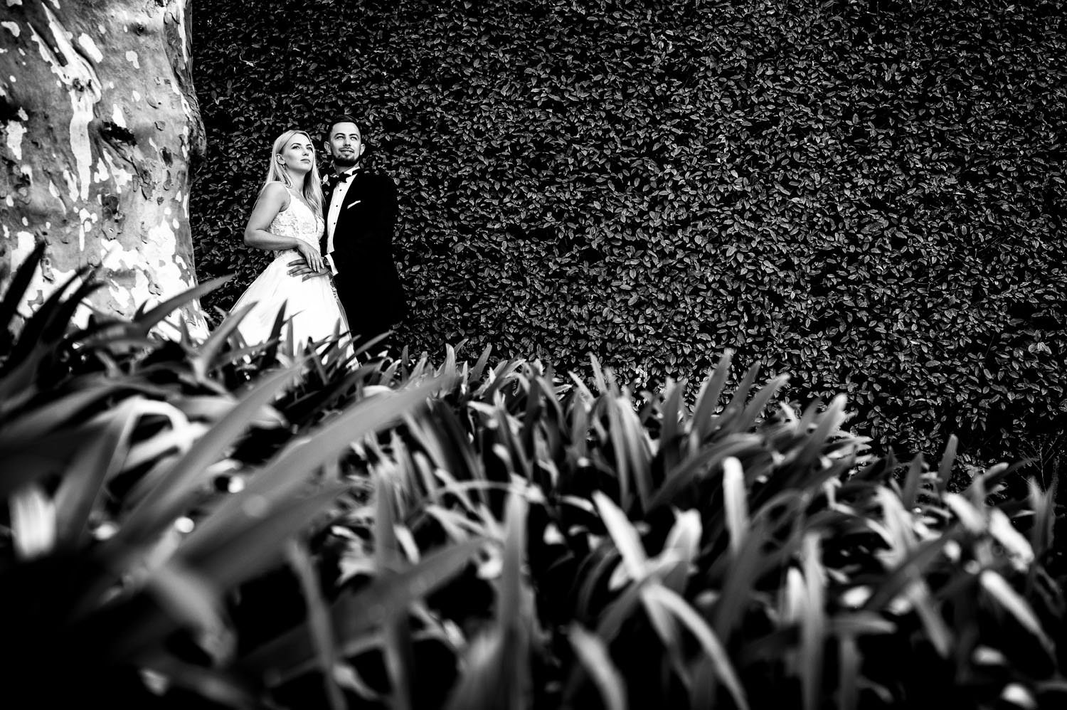 Elopement am Comer See & an den oberitalienischen Seen (Villa del Balbianello), August 2024 – Foto 29 von 52, fotografiert von Magda M.