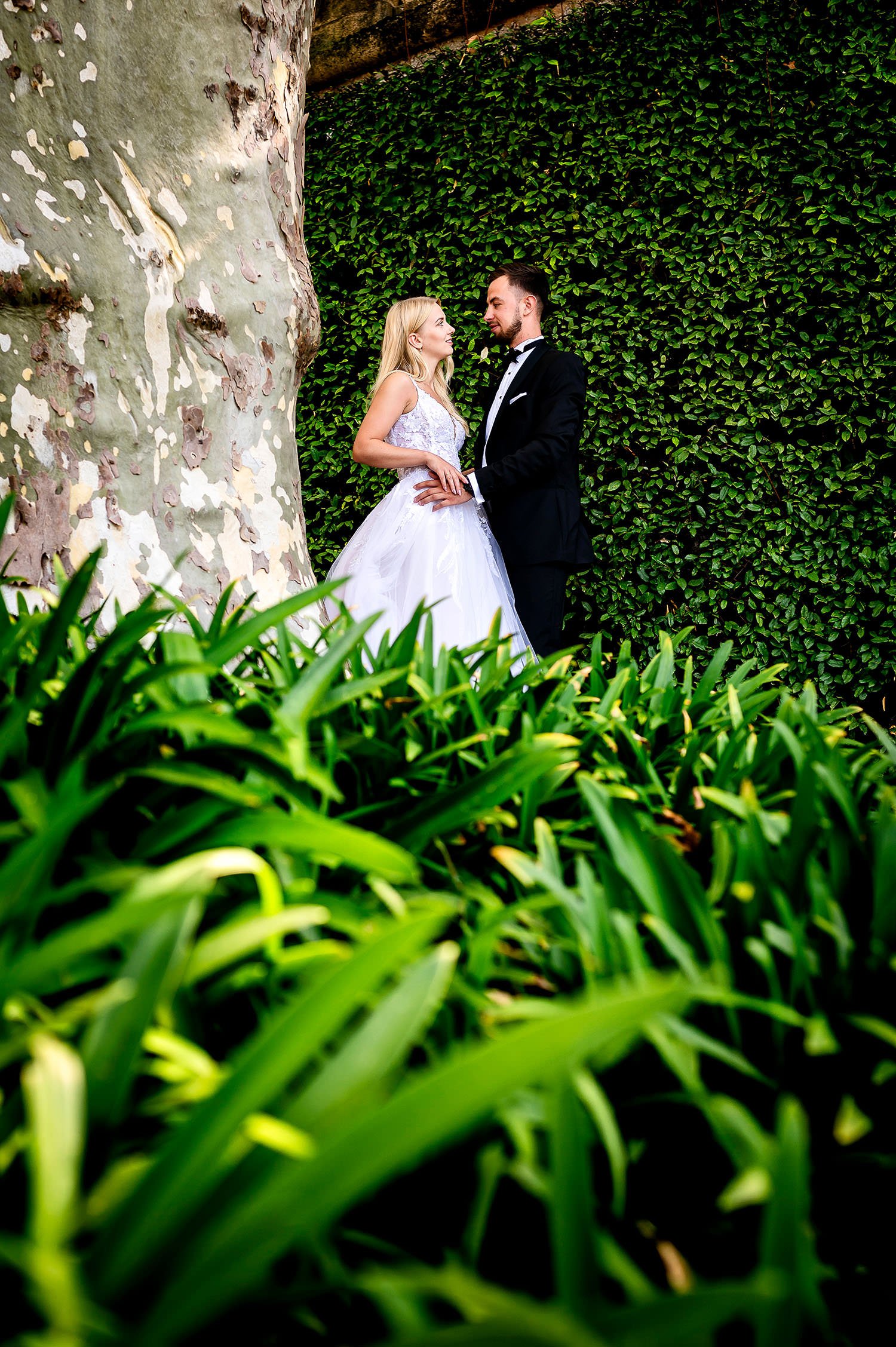 Elopement am Comer See & an den oberitalienischen Seen (Villa del Balbianello), August 2024 – Foto 28 von 52, fotografiert von Magda M.