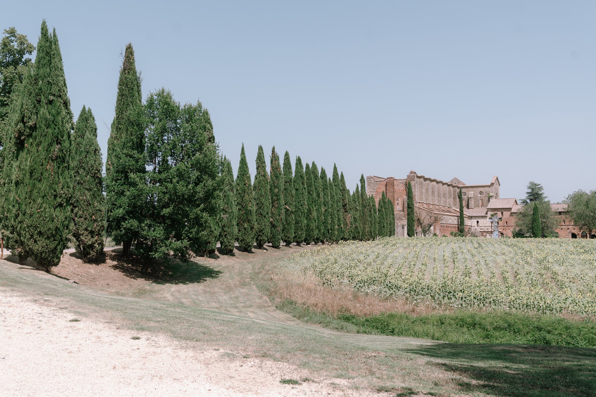 Matrimonio in Toscana (San Galgano), luglio 2026, fotografato da Graziana M.