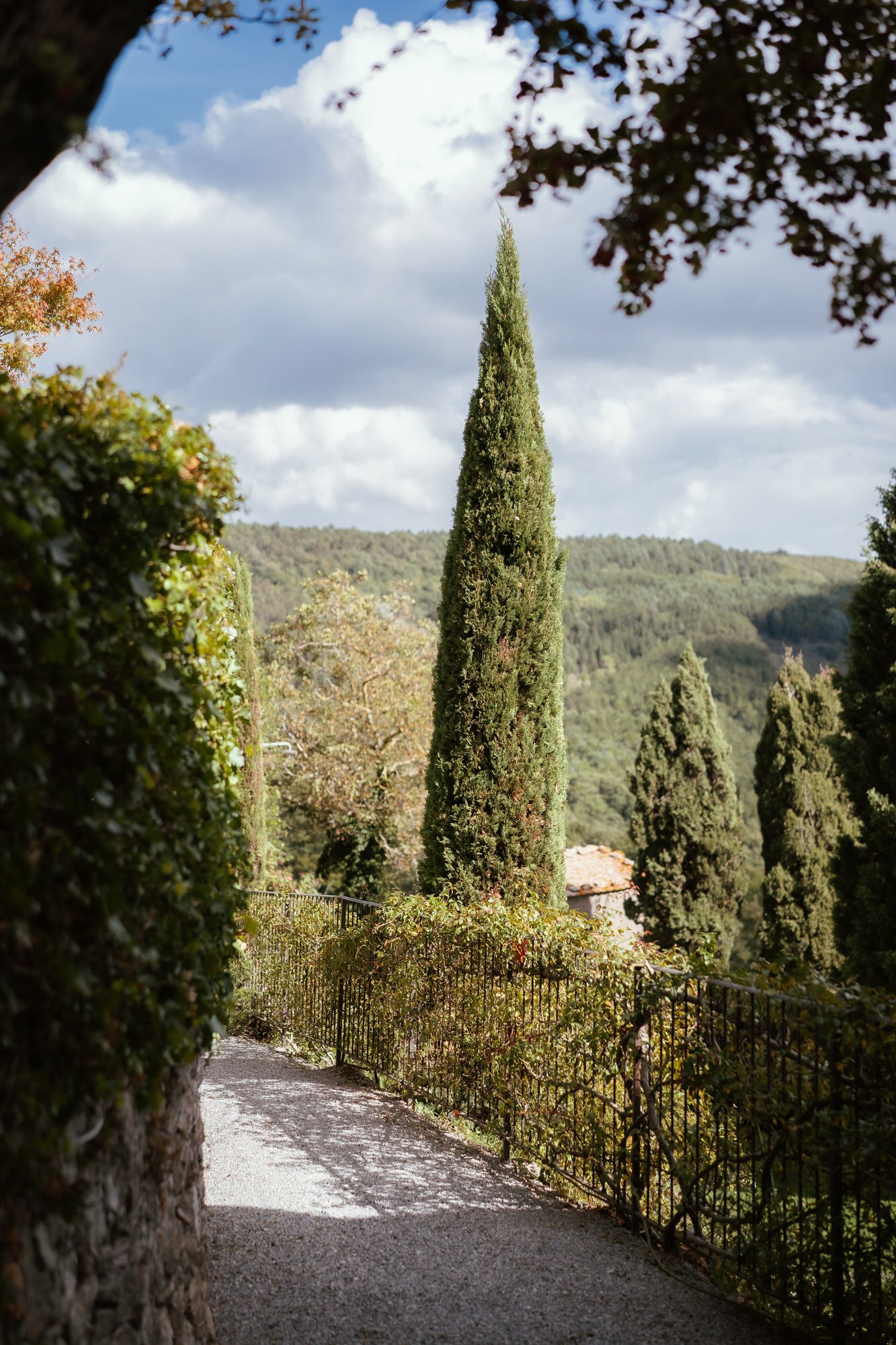 Intimate wedding in Tuscany (Val d'Orcia), October 2026 — photo 64 of 80 by Andrea C.