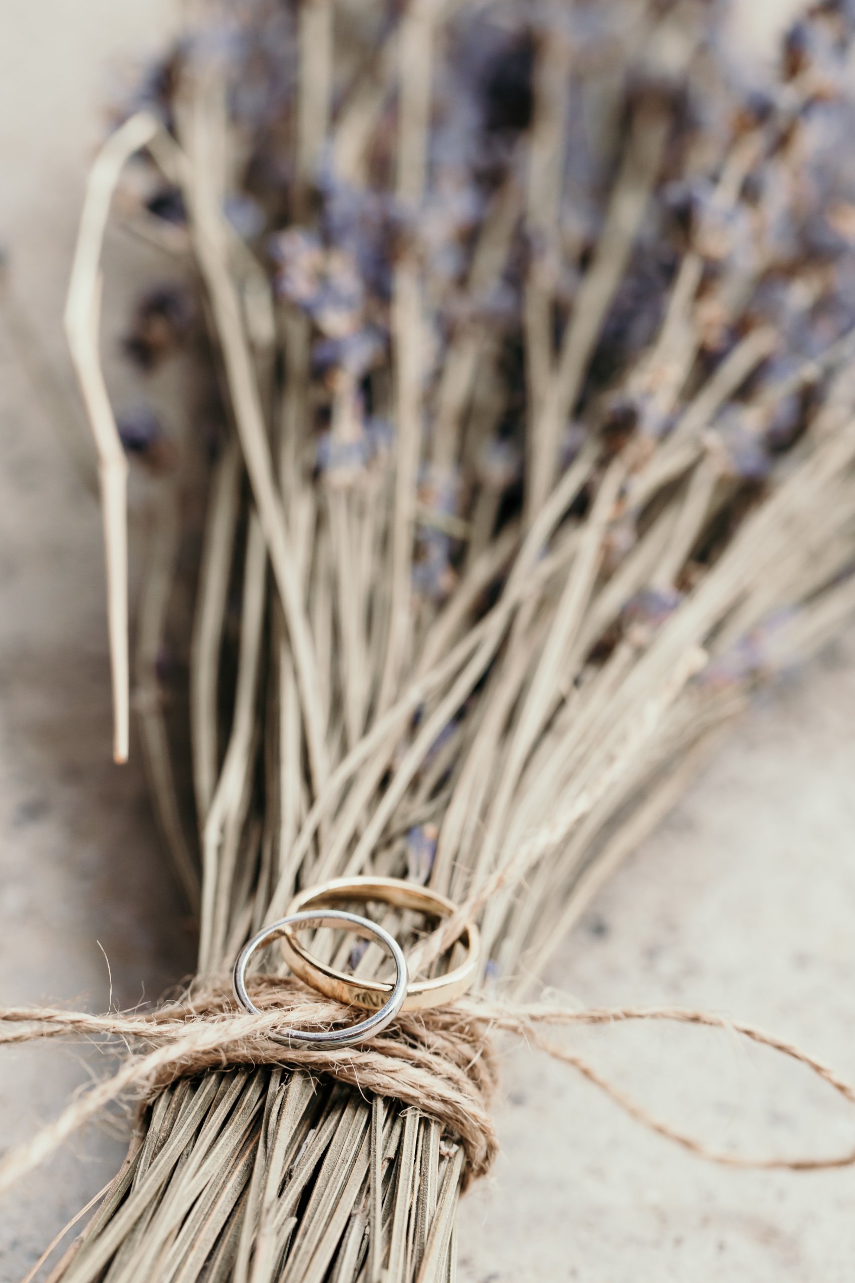 Wedding in Provence, June 2025, photographed by Audrey C.