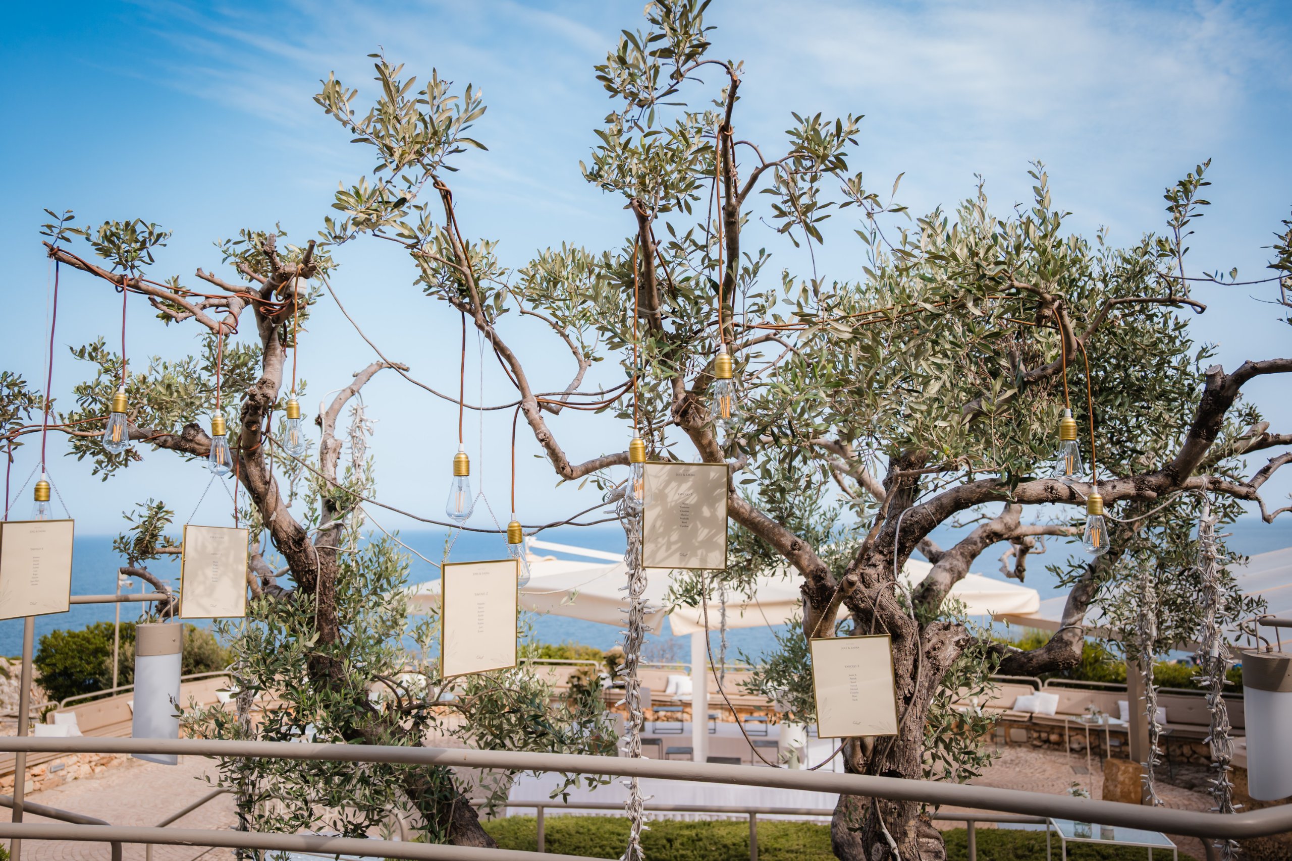 Mariage dans les Pouilles (Gibò), juillet 2025 — photo 3 sur 24, par Luigi P.