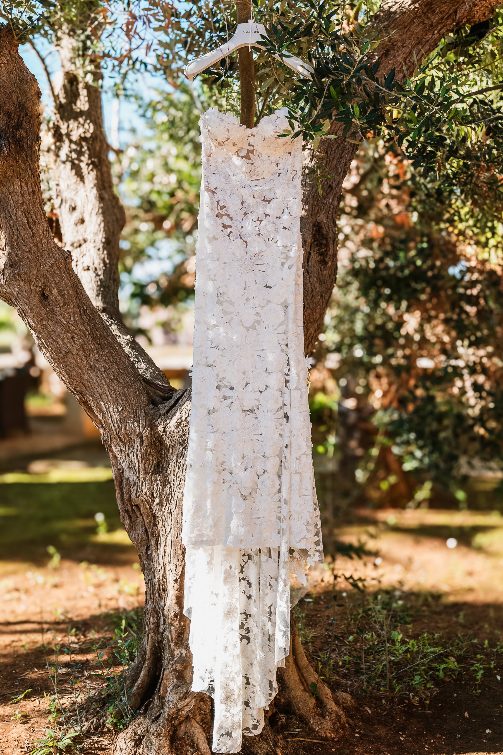 Boda en Apulia (Masseria li Capperi), septiembre de 2024 — foto 4 de 76, hecha por Luigi P.