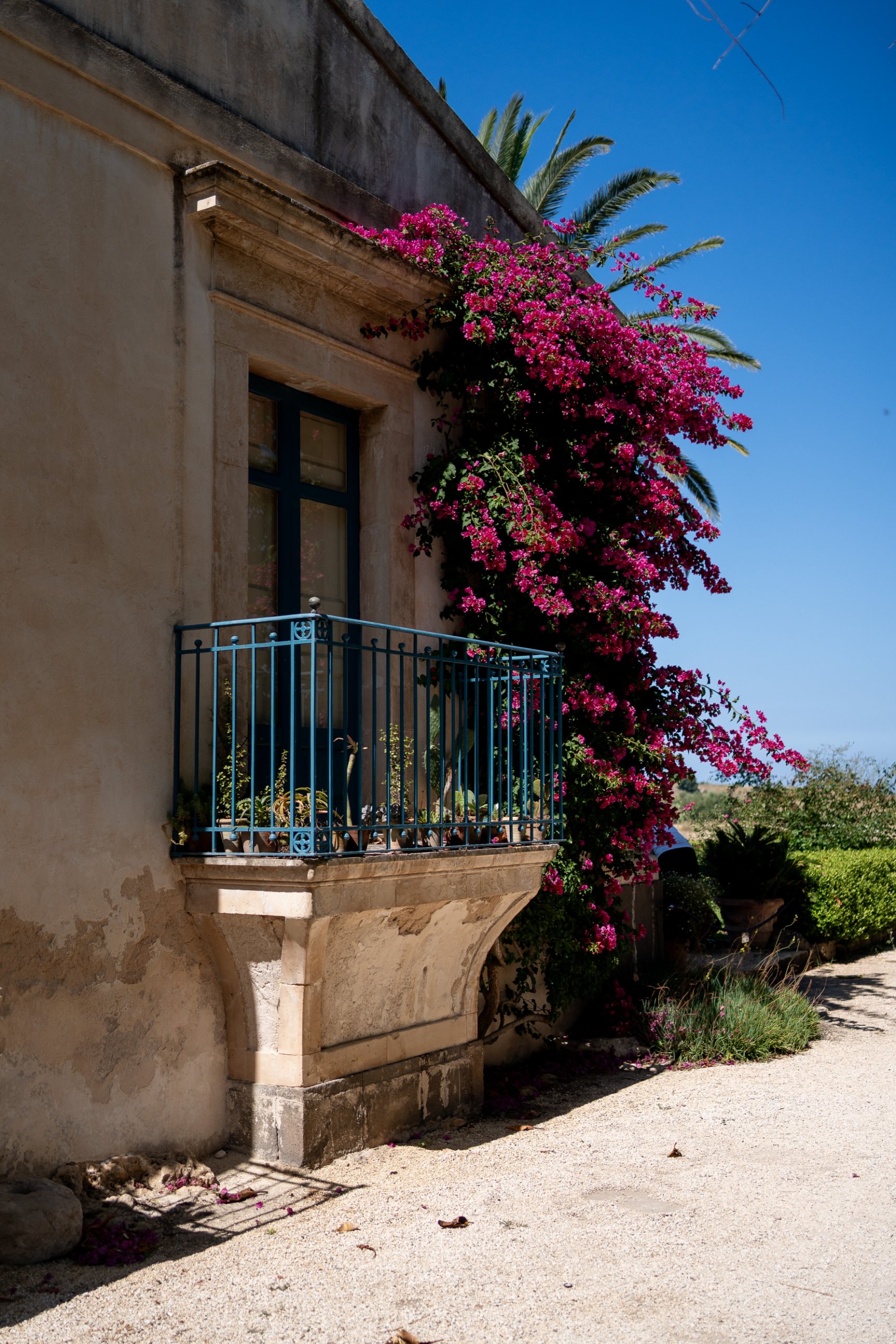 Wedding in Sicily (Commenda di San Calogero), June 2025 — photo 25 of 55 by Alberto M.