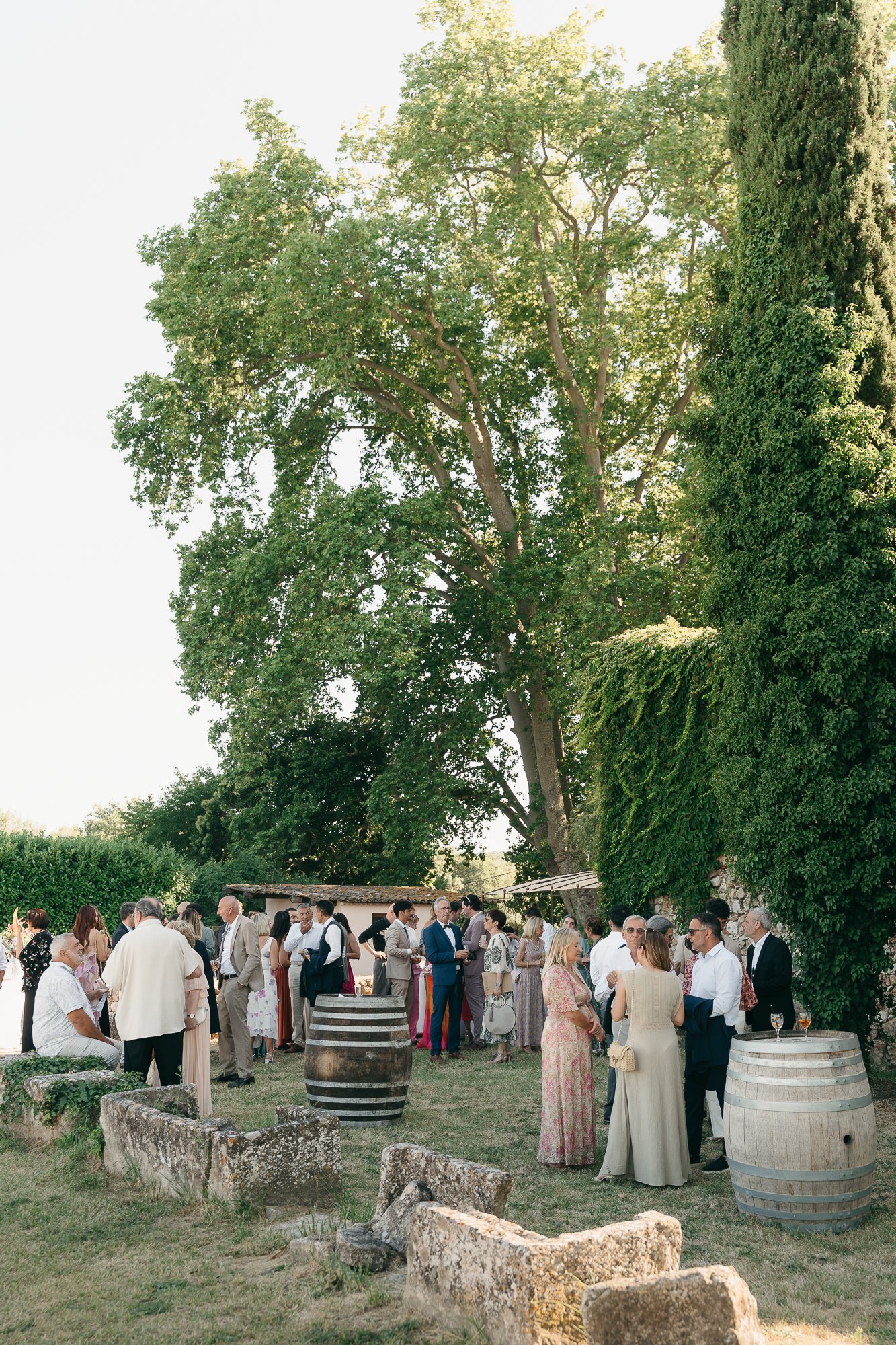 Wedding, June 2026 — photo 14 of 38 by Dani H.