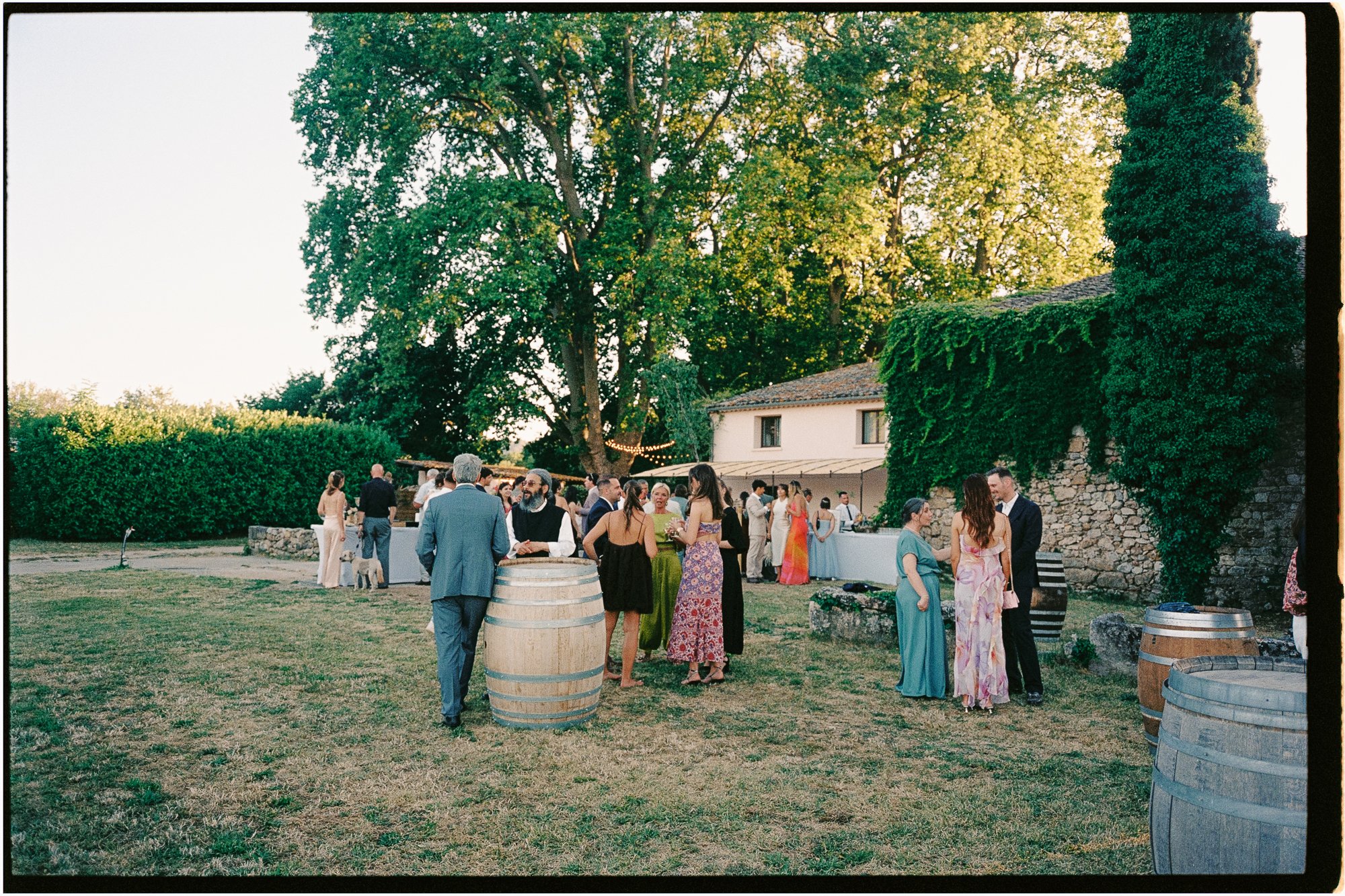 Wedding, June 2026 — photo 8 of 38 by Dani H.