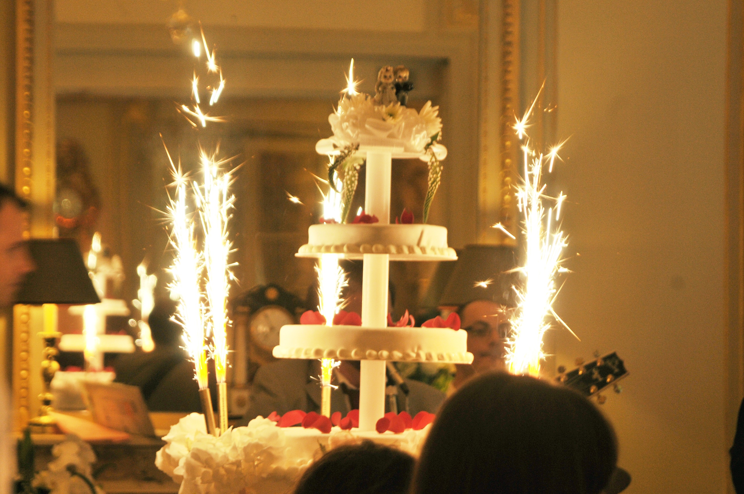 Wedding in Paris (Il de France), July — photo 18 of 20 by Michi N.
