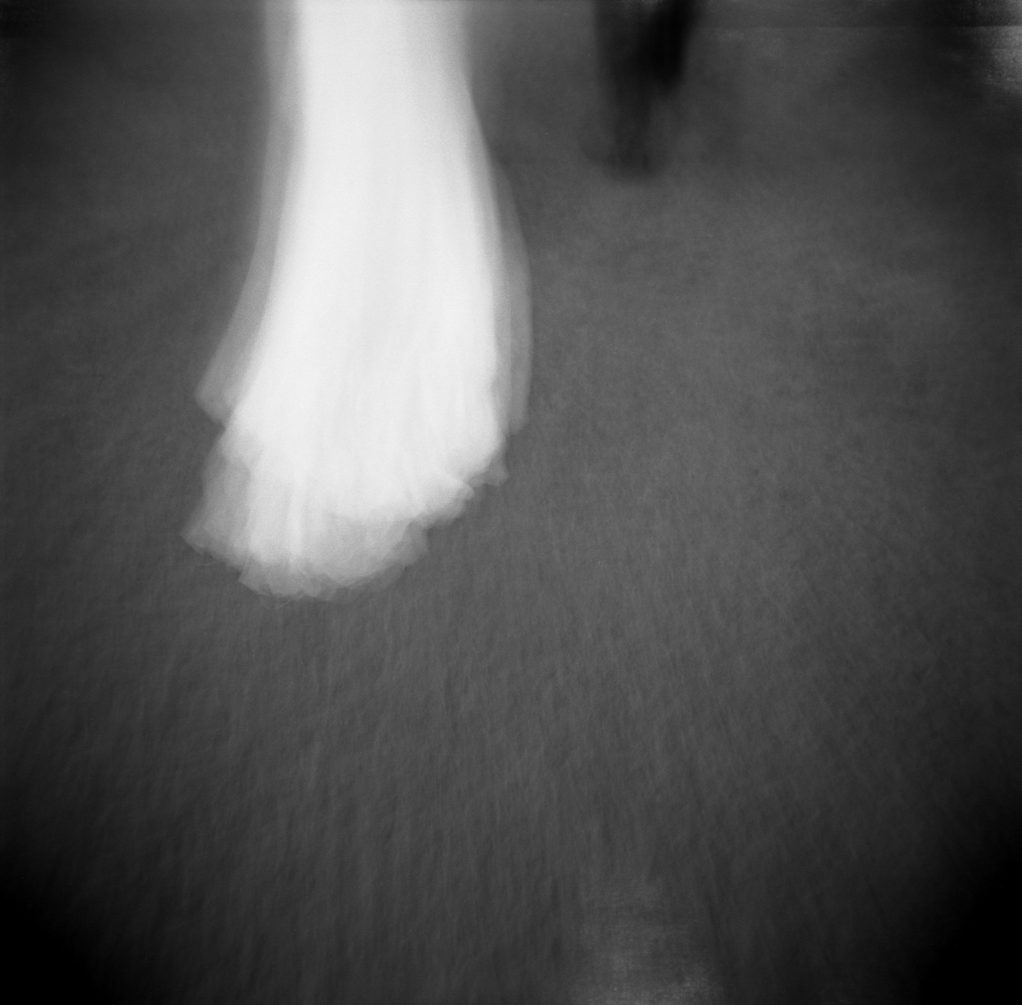 Boda en villa Gaia Gandini, junio de 2019 — foto 41 de 54, hecha por Alessia A.
