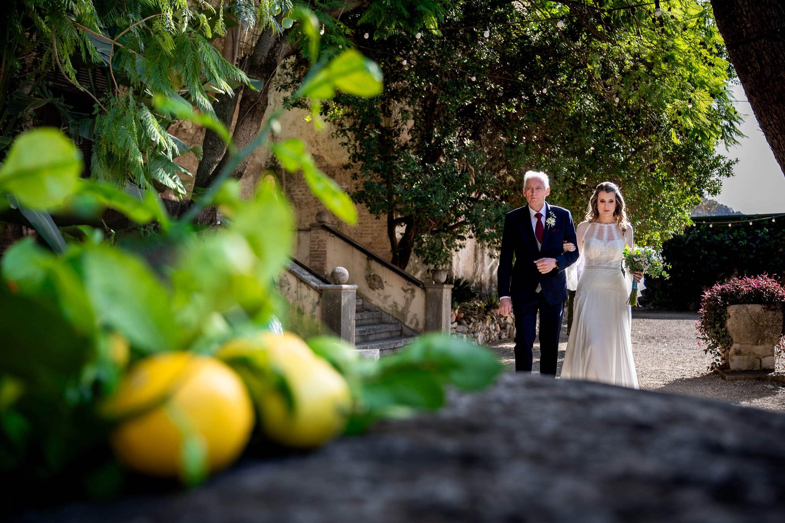 Matrimonio a Valencia e sulla Costa Blanca (Convent de Sant Jeroni), giugno 2025 — foto 21 di 66, scattata da Adolf B.