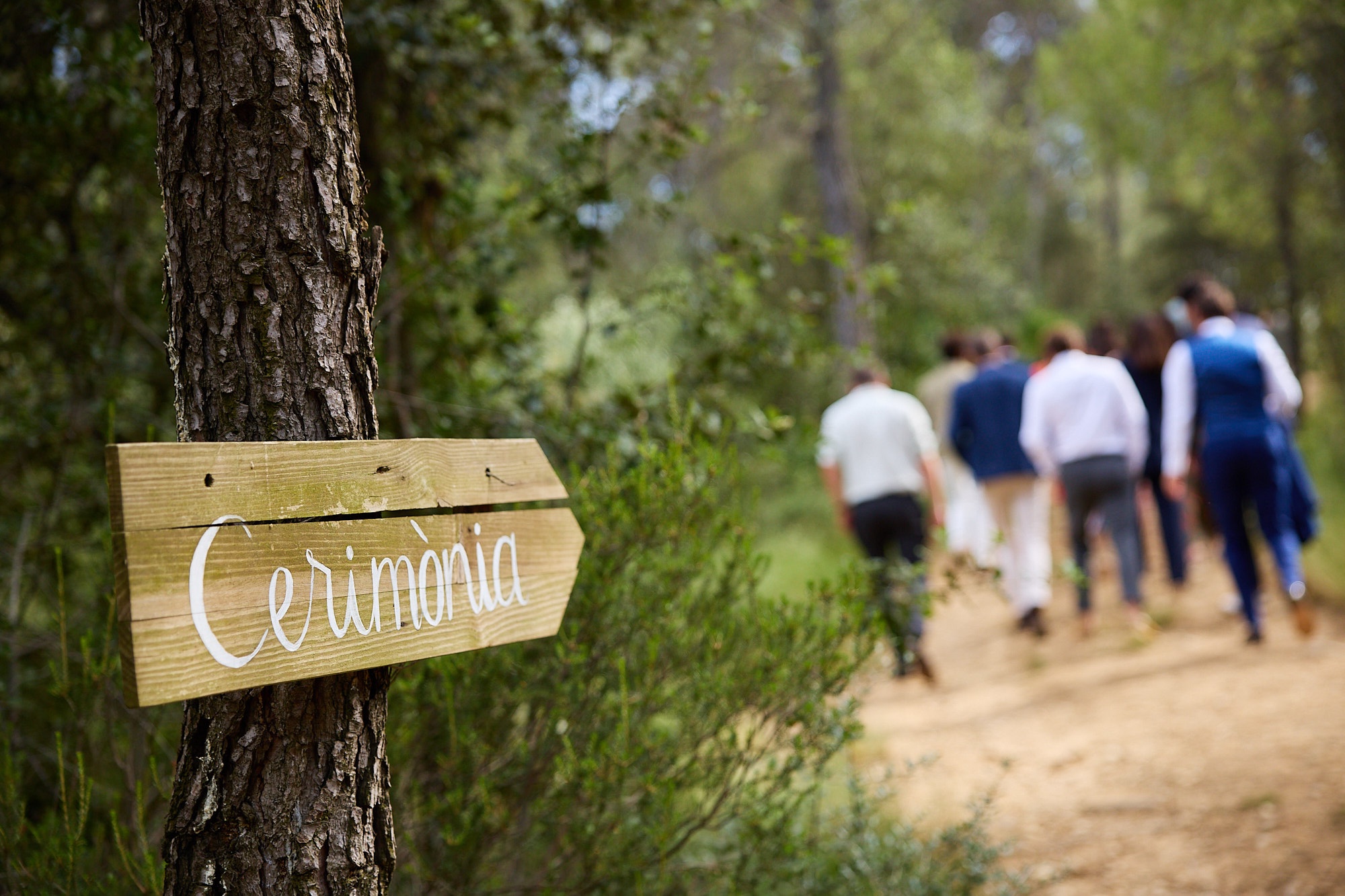 Boda en Barcelona y Cataluña (Pontós, Girona), julio de 2024 — foto 31 de 80, hecha por Roger F.