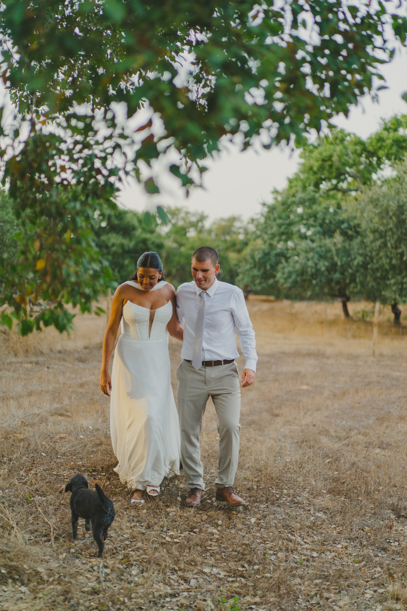Boda en el Alentejo (Monte do Giestal), julio de 2026 — foto 64 de 73, hecha por Denis E.
