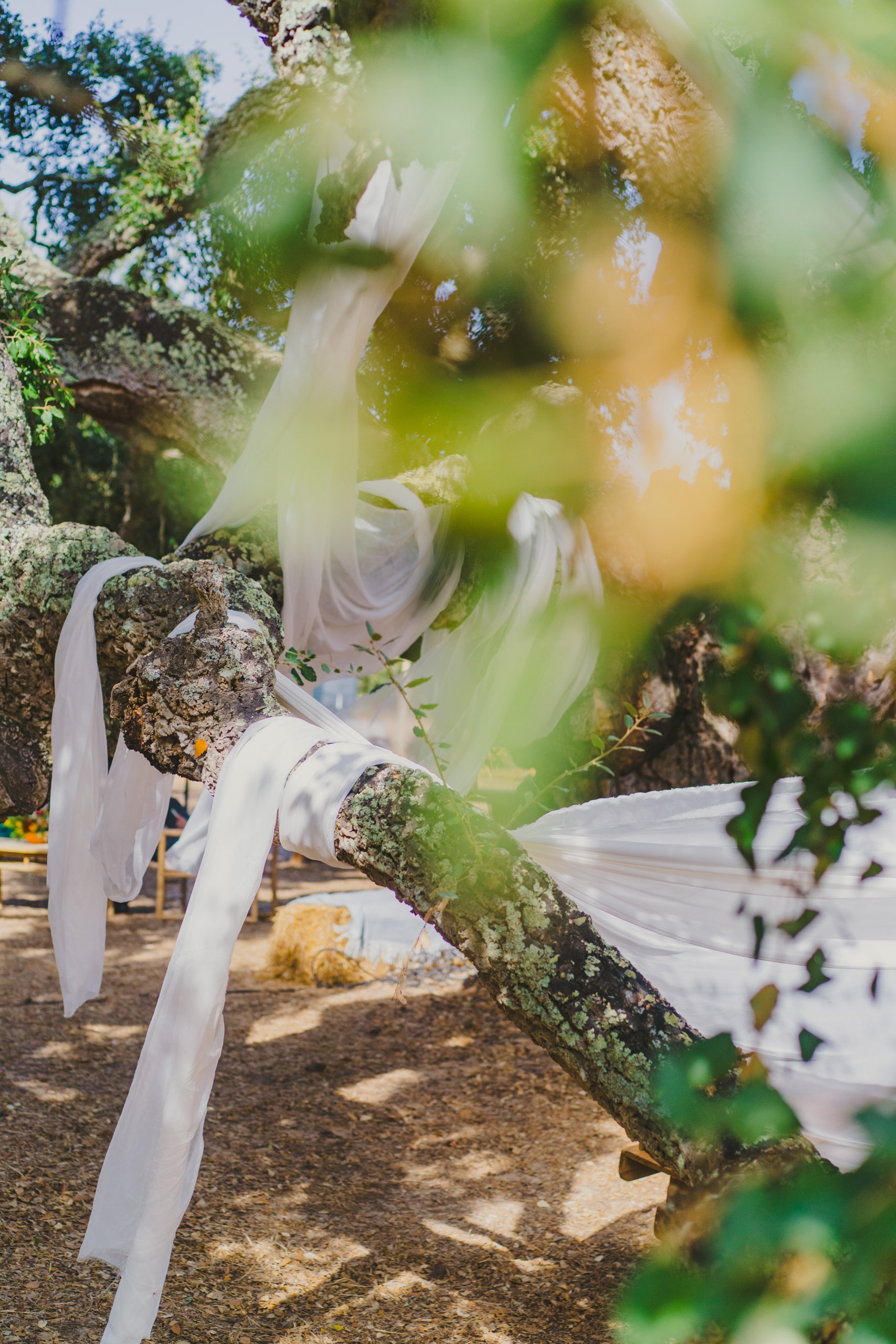 Boda en el Alentejo (Monte do Giestal), julio de 2026 — foto 46 de 73, hecha por Denis E.