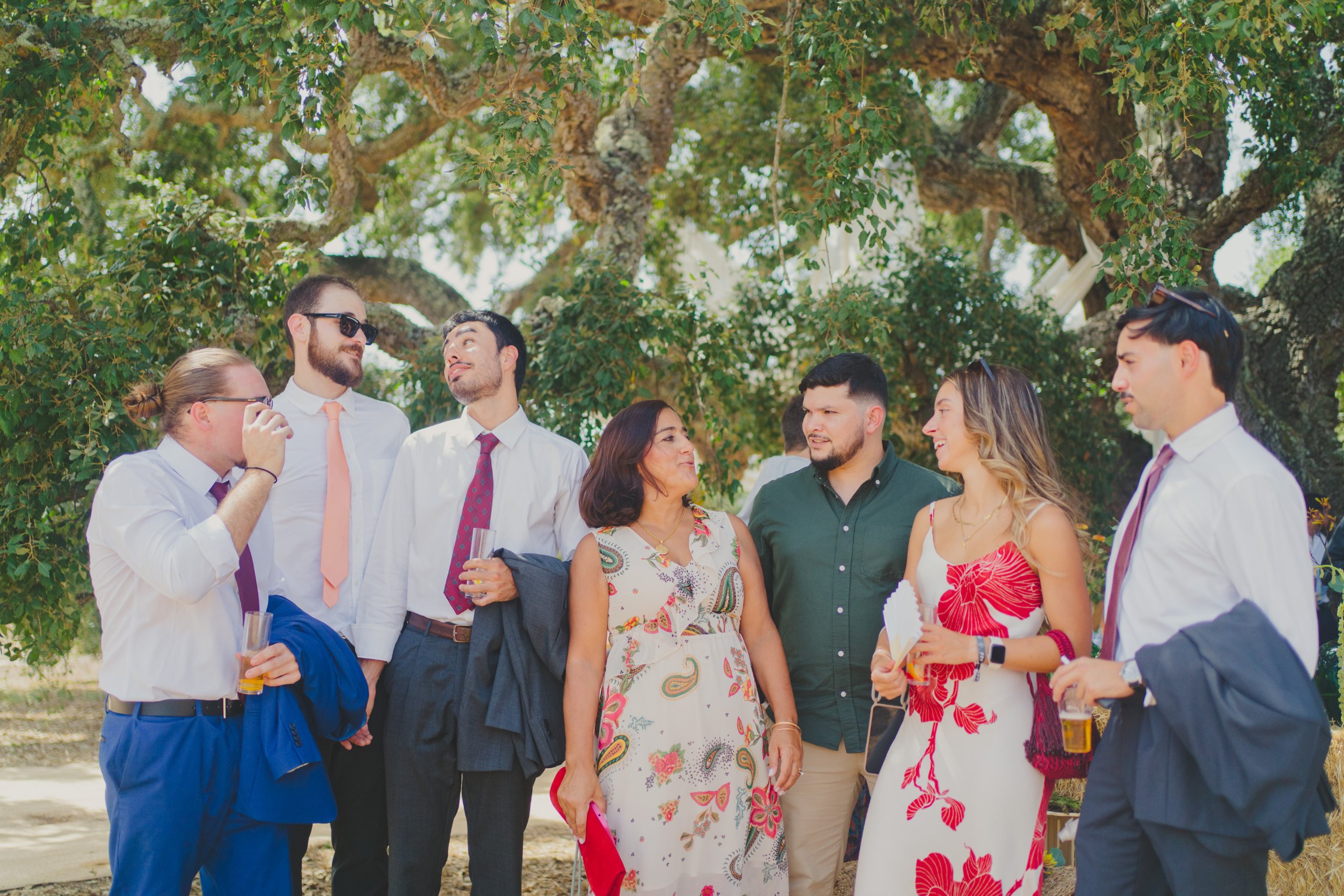 Boda en el Alentejo (Monte do Giestal), julio de 2026 — foto 36 de 73, hecha por Denis E.