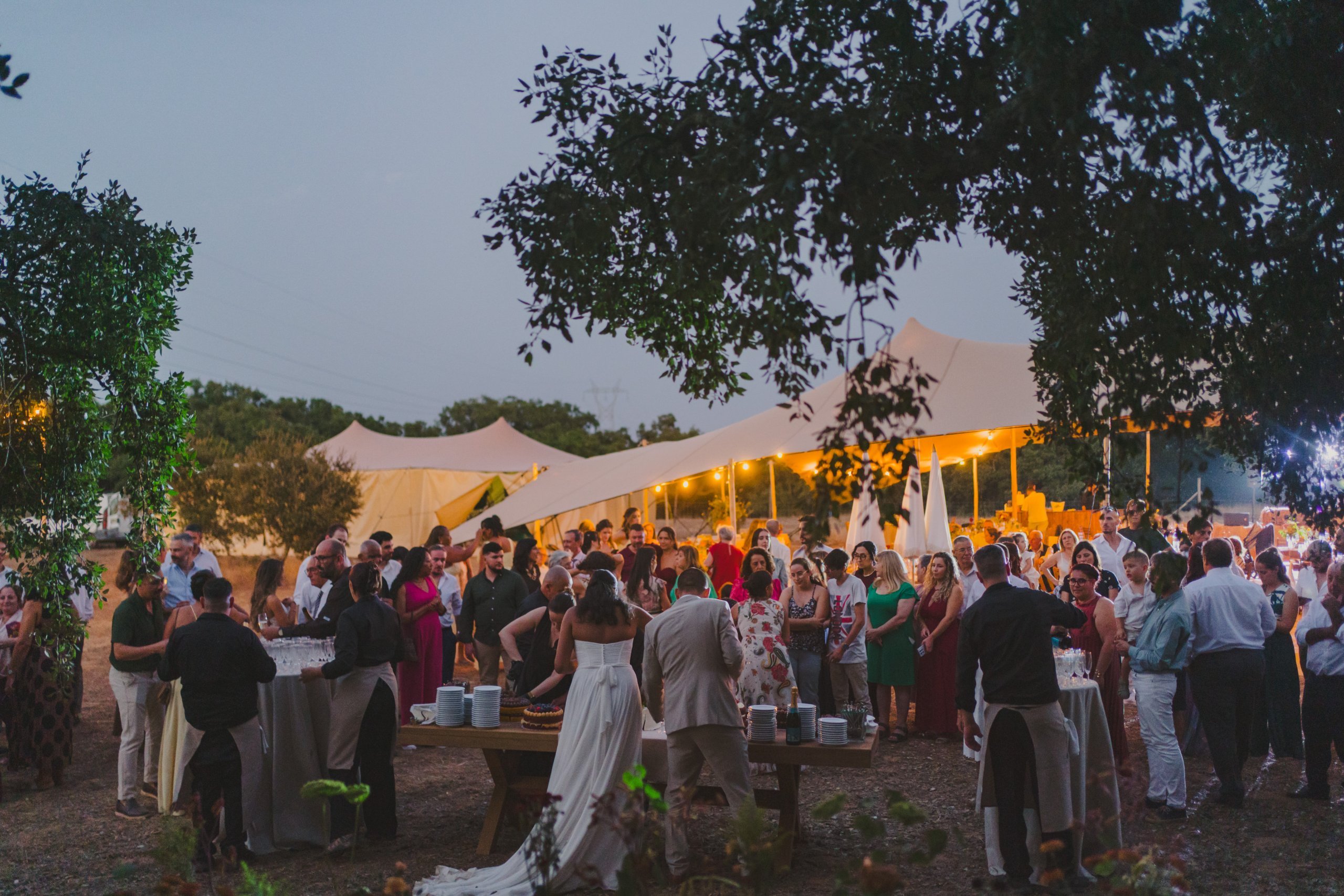 Boda en el Alentejo (Monte do Giestal), julio de 2026 — foto 70 de 73, hecha por Denis E.