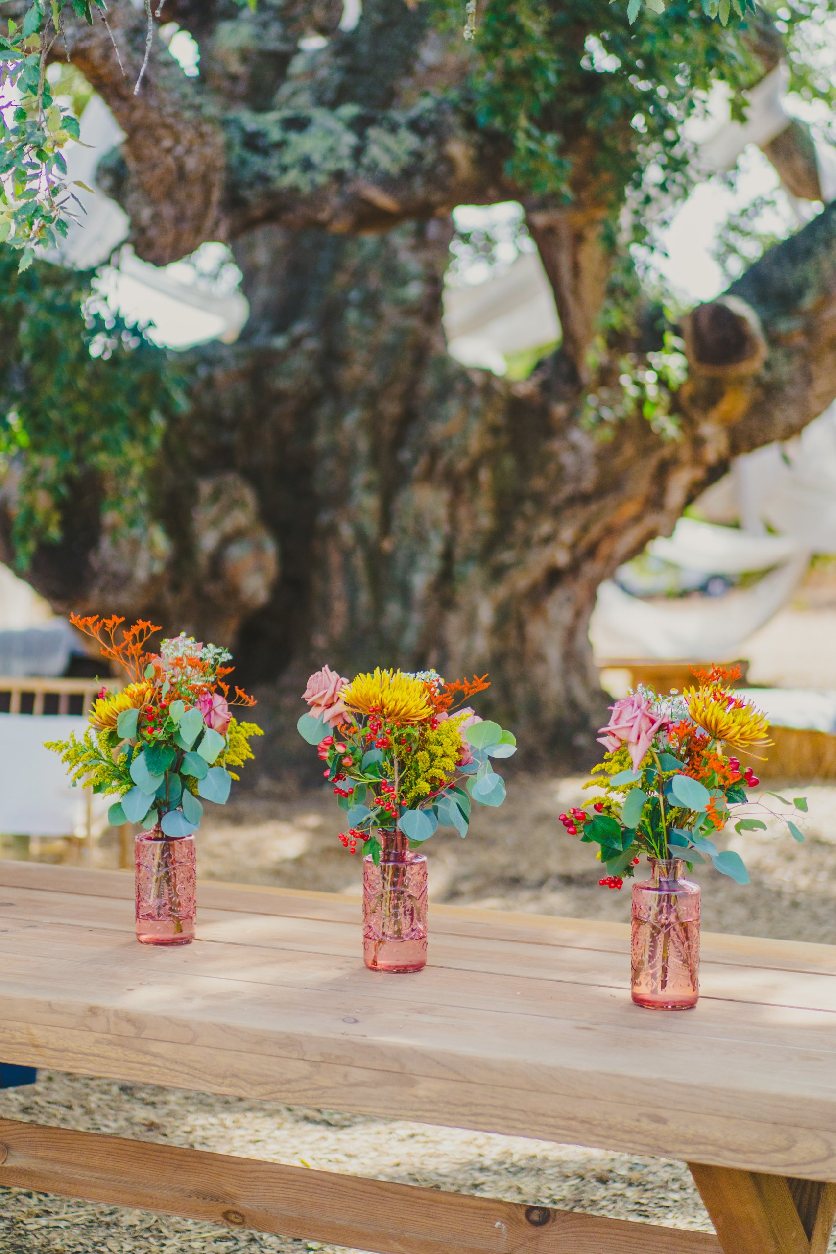 Boda en el Alentejo (Monte do Giestal), julio de 2026 — foto 45 de 73, hecha por Denis E.