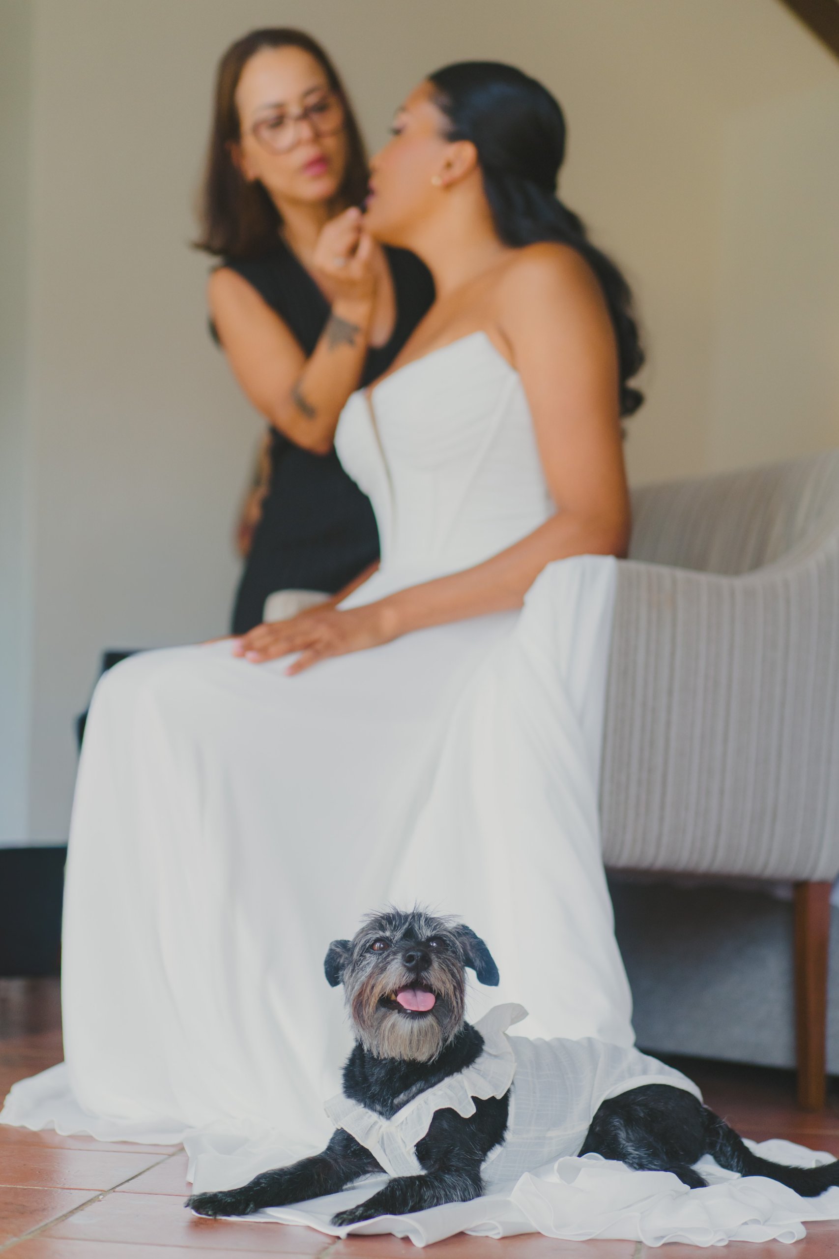 Boda en el Alentejo (Monte do Giestal), julio de 2026 — foto 18 de 73, hecha por Denis E.