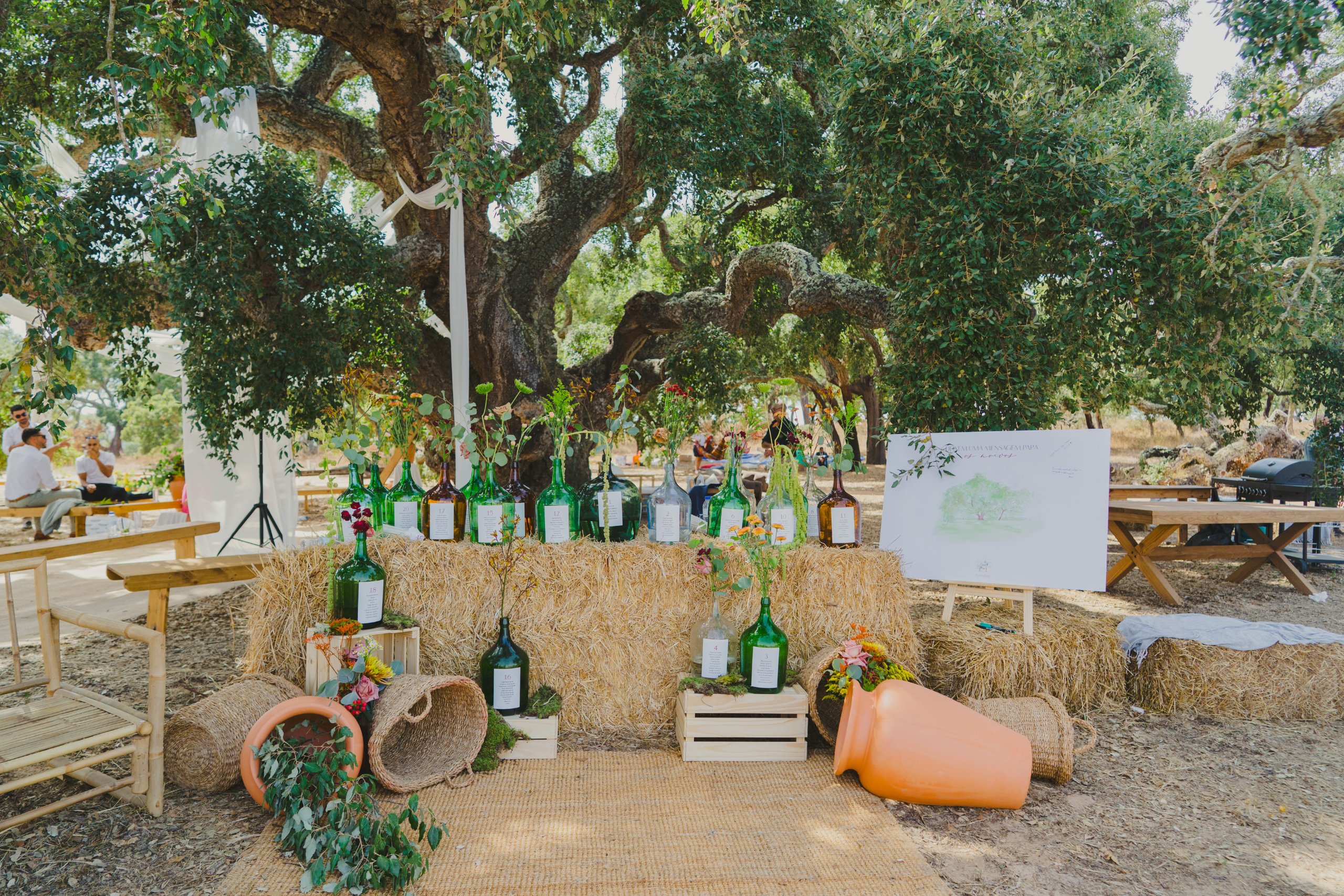 Boda en el Alentejo (Monte do Giestal), julio de 2026 — foto 38 de 73, hecha por Denis E.