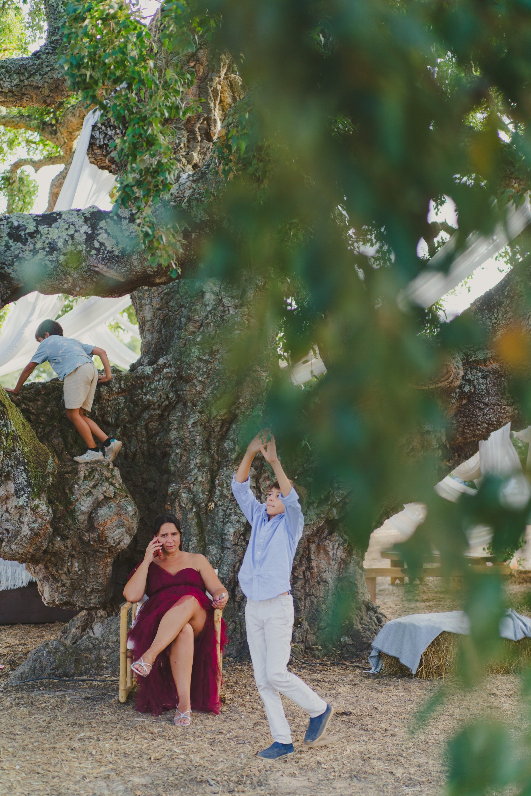 Boda en el Alentejo (Monte do Giestal), julio de 2026 — foto 58 de 73, hecha por Denis E.
