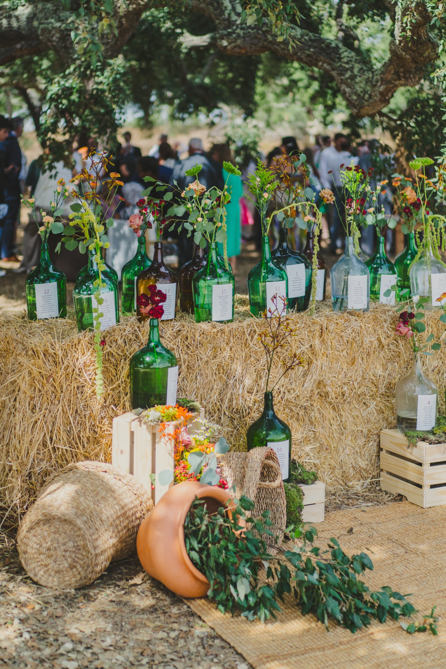 Boda en el Alentejo (Monte do Giestal), julio de 2026 — foto 19 de 73, hecha por Denis E.