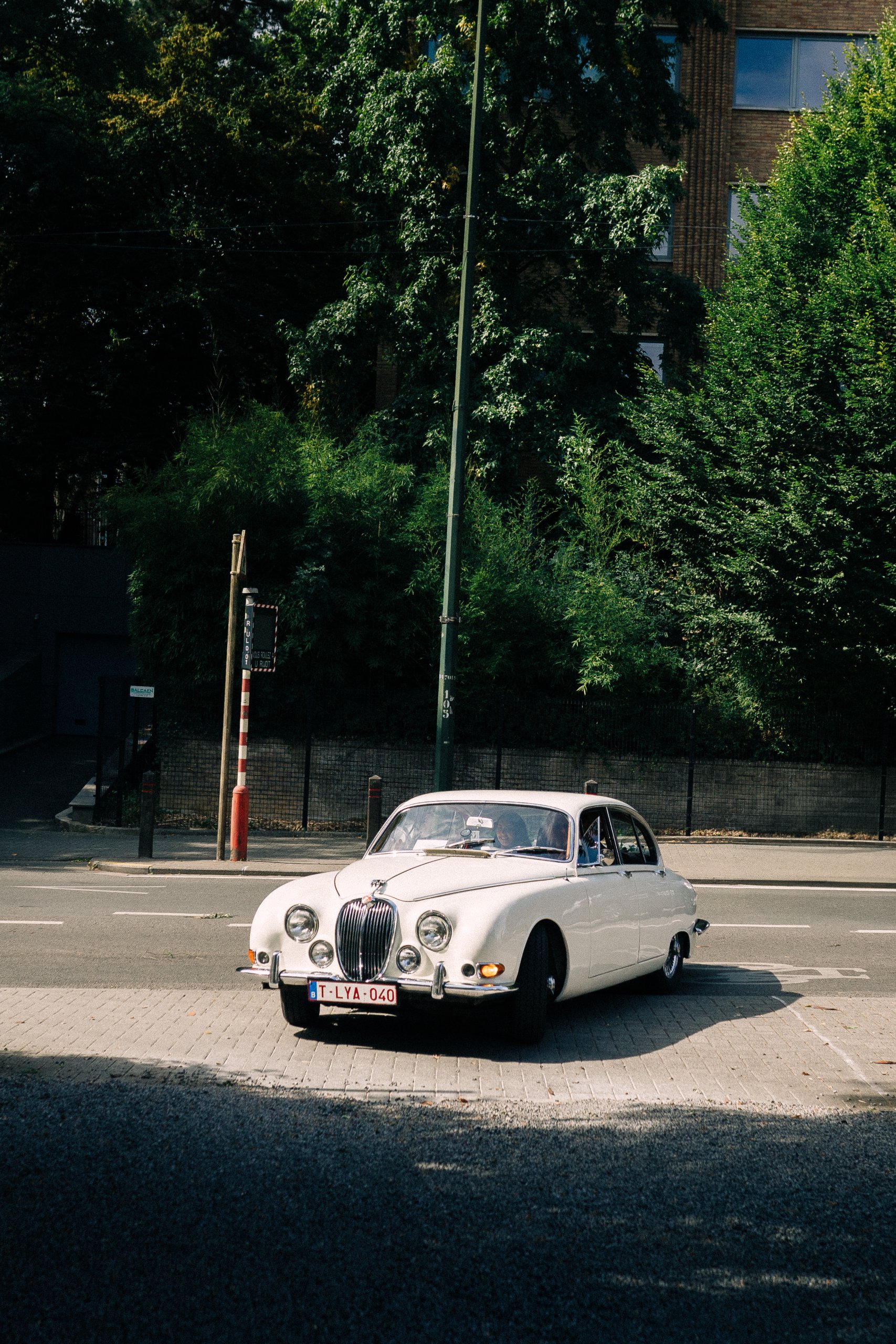 Wedding in Bruxelles, 2025 — photo 15 of 20 by Alina L.