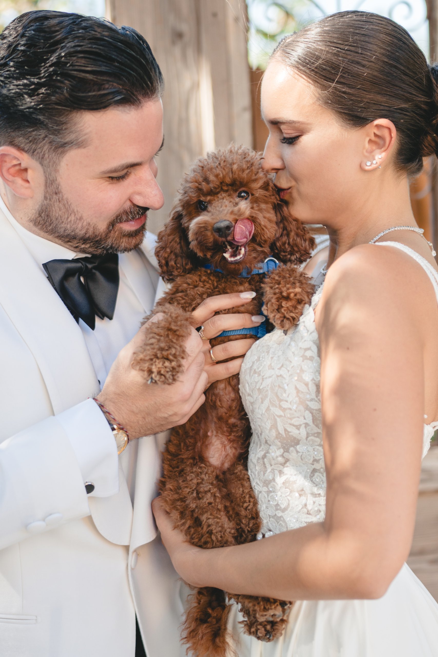 Matrimonio a Vienna (Schloss Georgi), agosto — foto 15 di 49, scattata da Ian P.