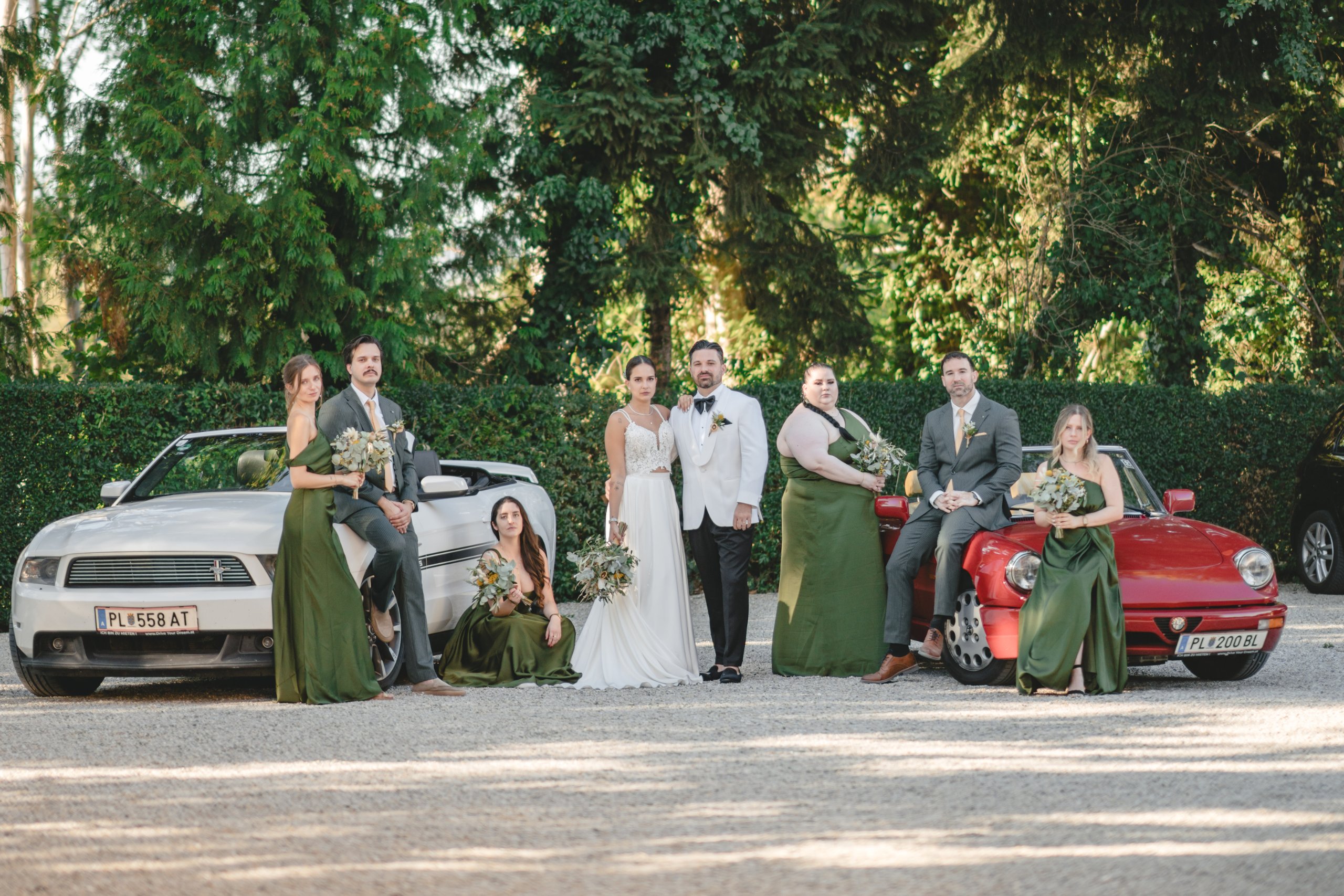 Matrimonio a Vienna (Schloss Georgi), agosto — foto 16 di 49, scattata da Ian P.