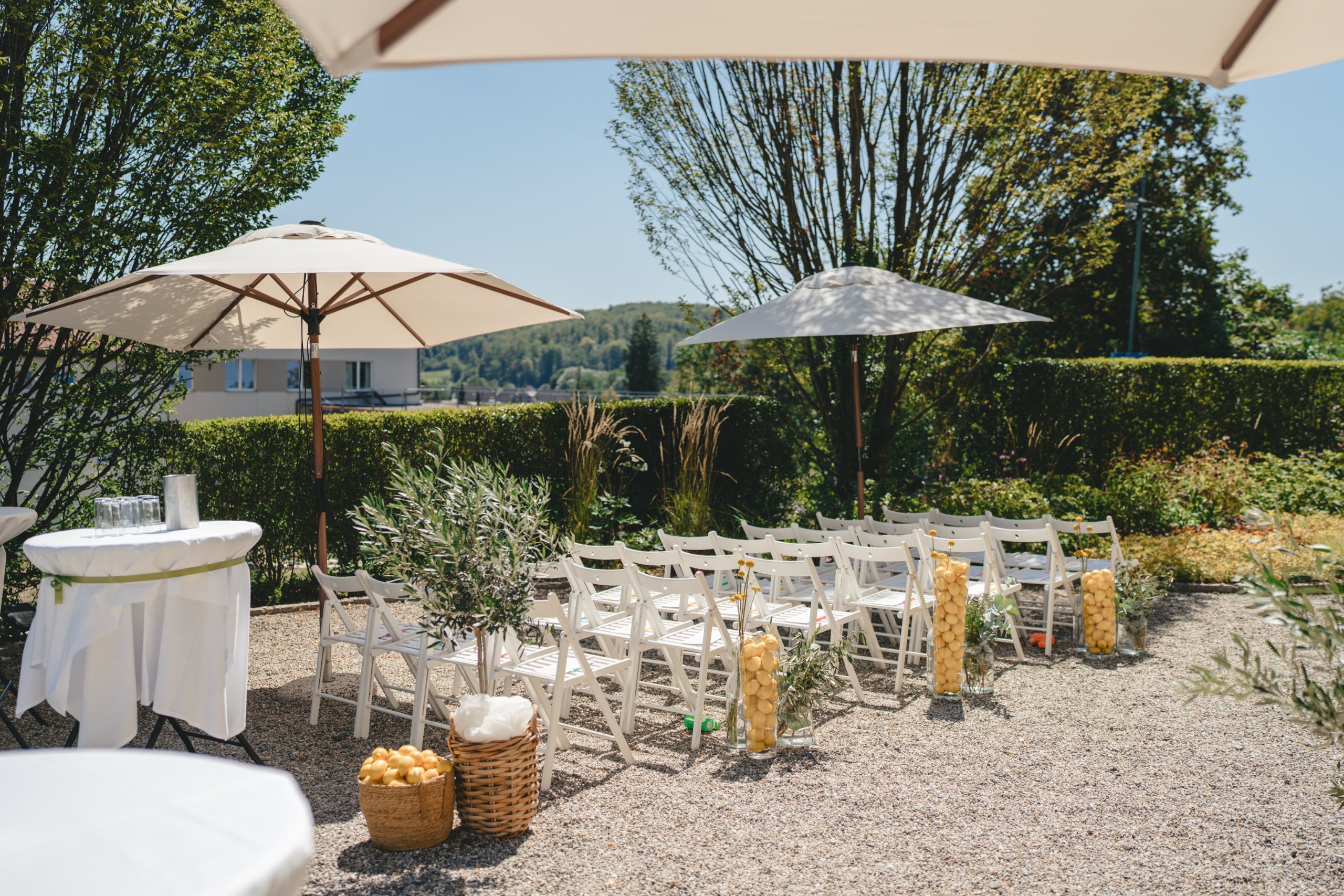 Matrimonio a Vienna (Schloss Georgi), agosto — foto 36 di 49, scattata da Ian P.