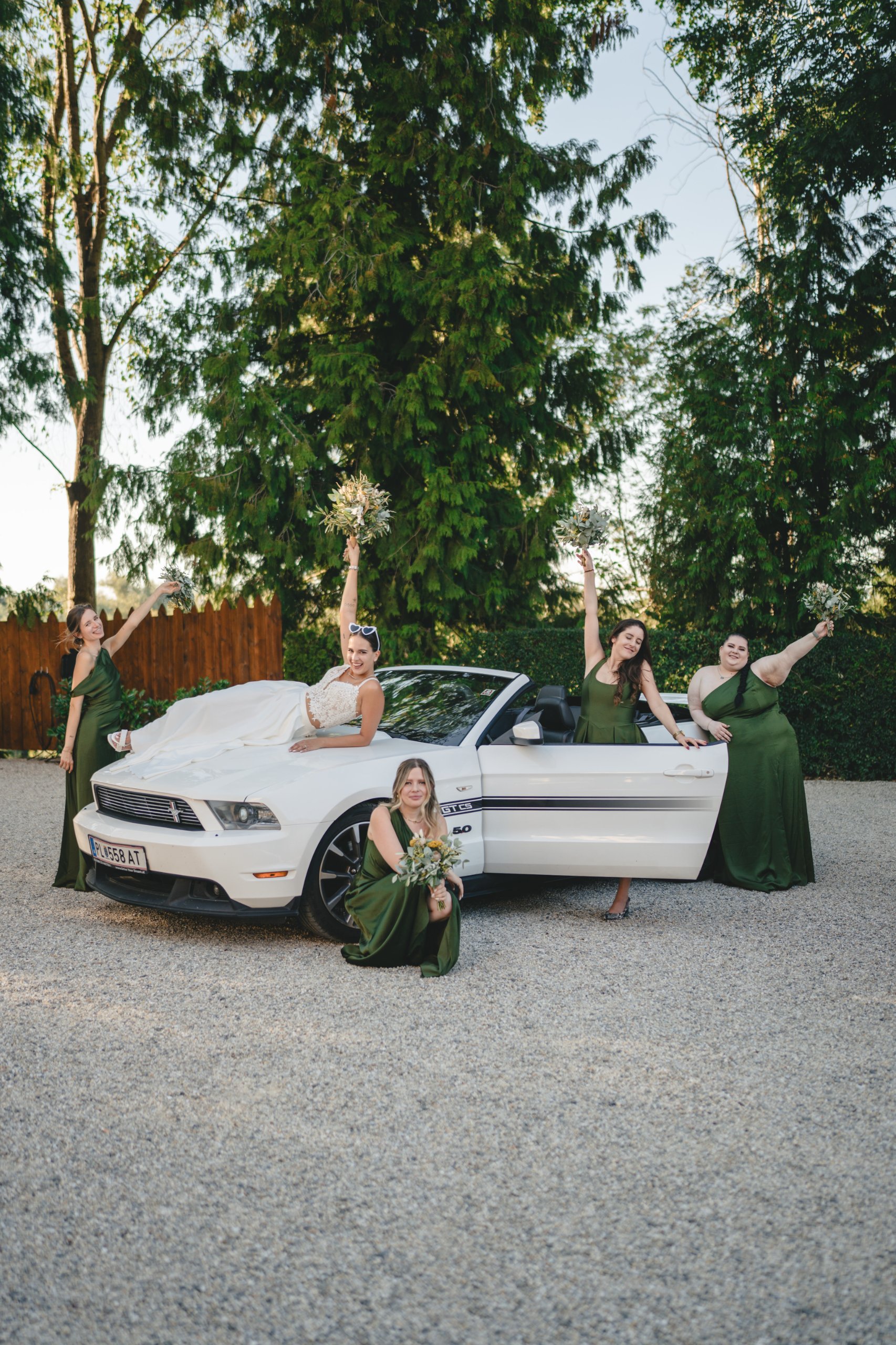 Matrimonio a Vienna (Schloss Georgi), agosto — foto 17 di 49, scattata da Ian P.
