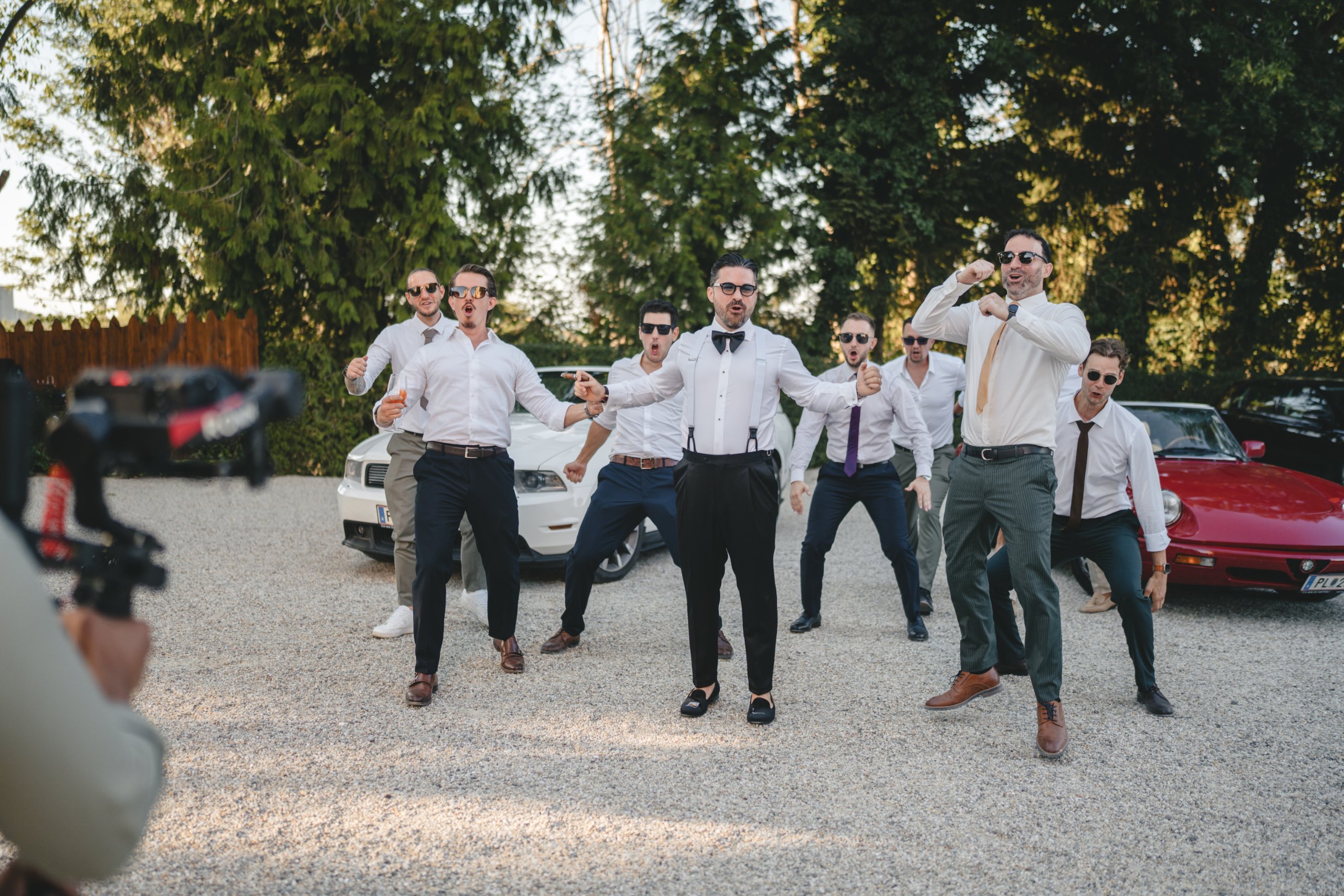 Matrimonio a Vienna (Schloss Georgi), agosto — foto 18 di 49, scattata da Ian P.