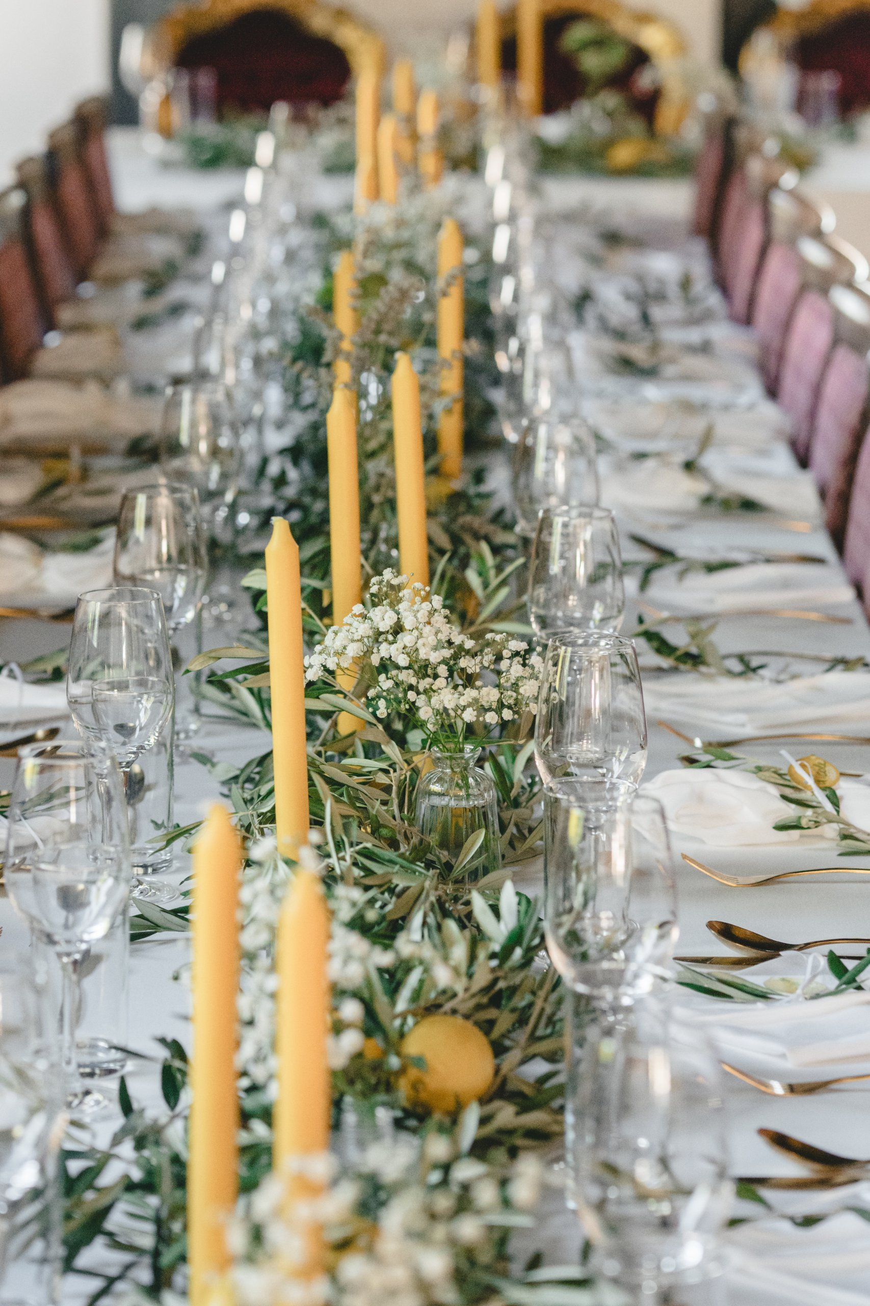 Matrimonio a Vienna (Schloss Georgi), agosto — foto 29 di 49, scattata da Ian P.