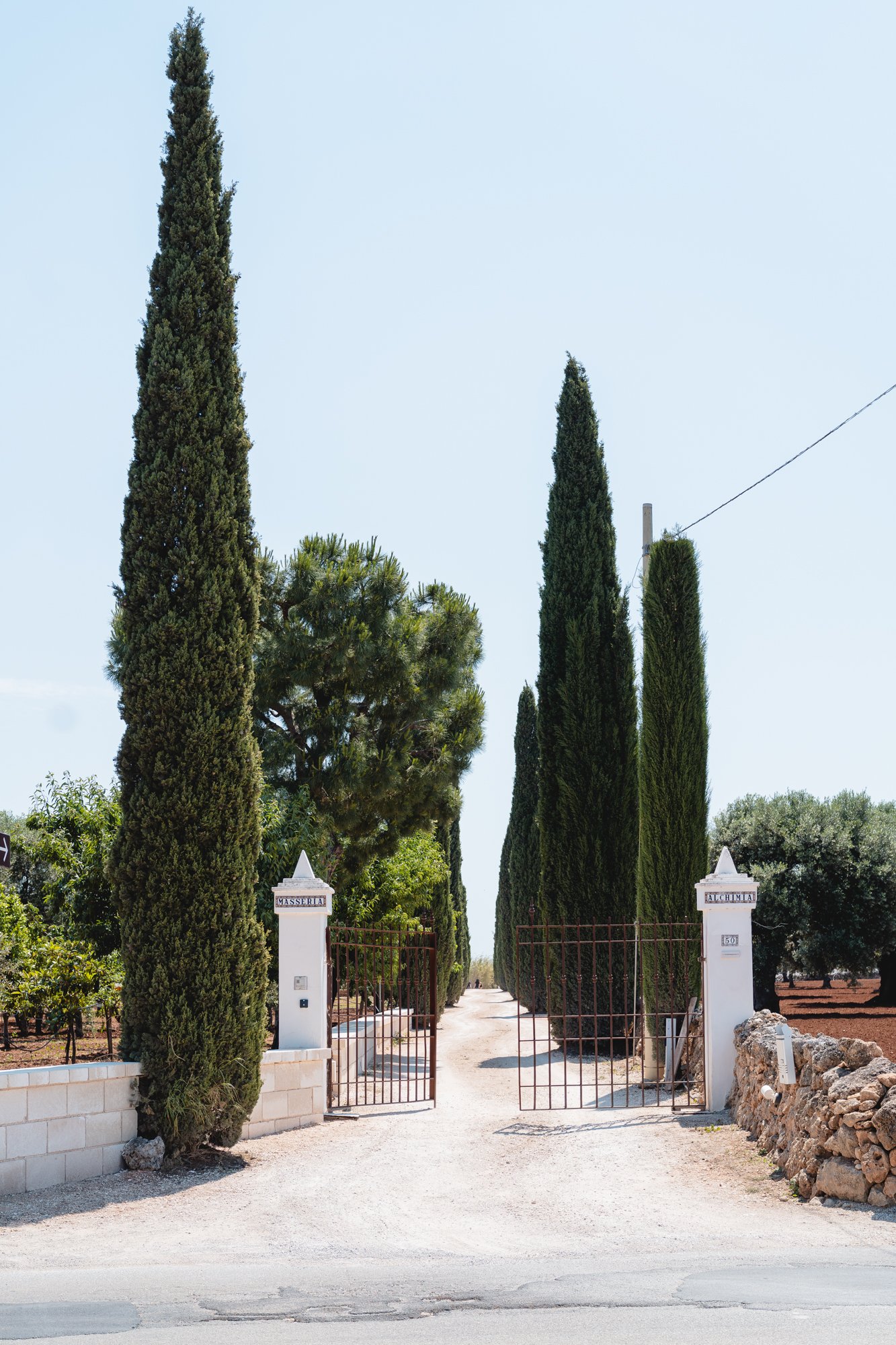 Mariage dans les Pouilles (Masseria Alchimia, Fasano (BR)), mai 2026 — photo 3 sur 80, par Mirko A.