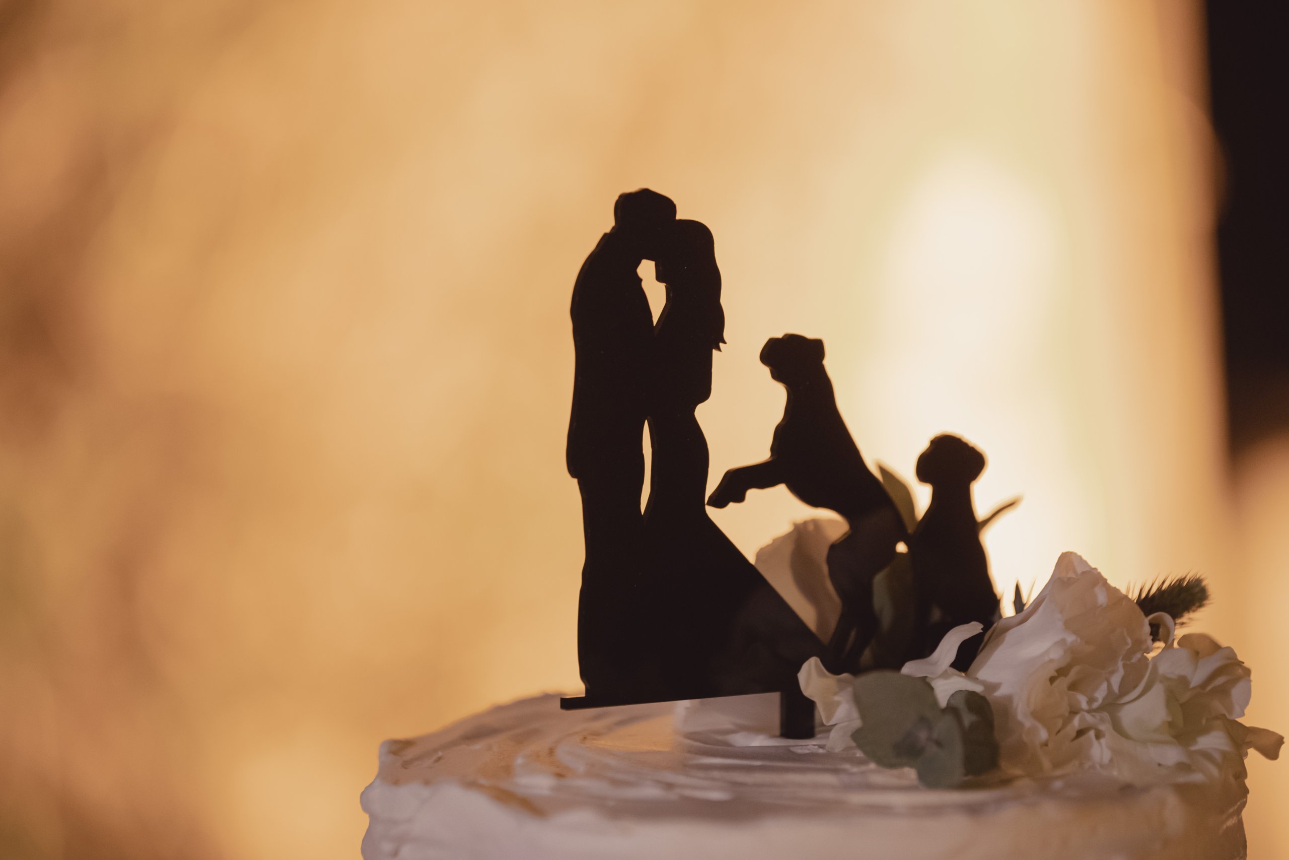 Mariage à Rome et dans le Latium (Castello di Santa Marinella, Santa Marinella,  Roma), juin 2019 — photo 56 sur 70, par Marco S.