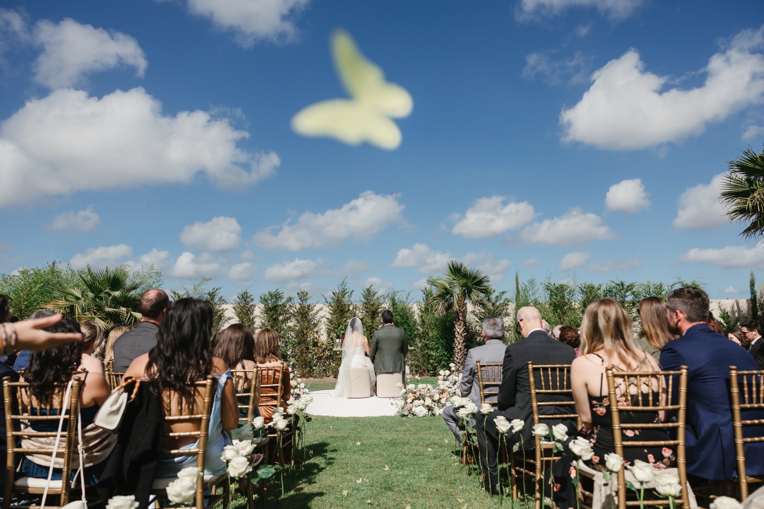 Wedding in Aveiro, May 2026 — photo 26 of 79 by André D.