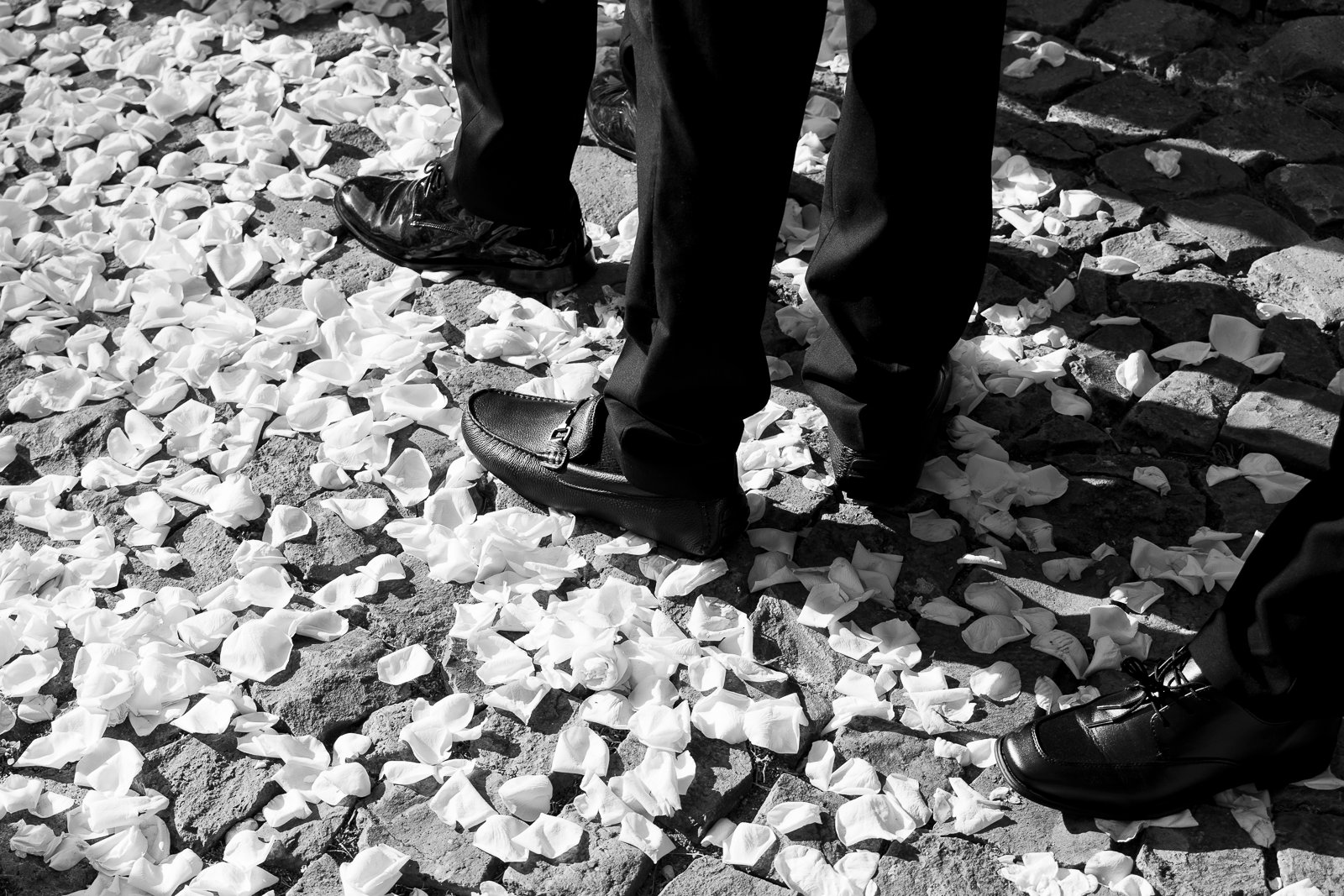 Wedding in Rome & Lazio (Casale del Gallo), August 2026 — photo 32 of 62 by Luigi O.