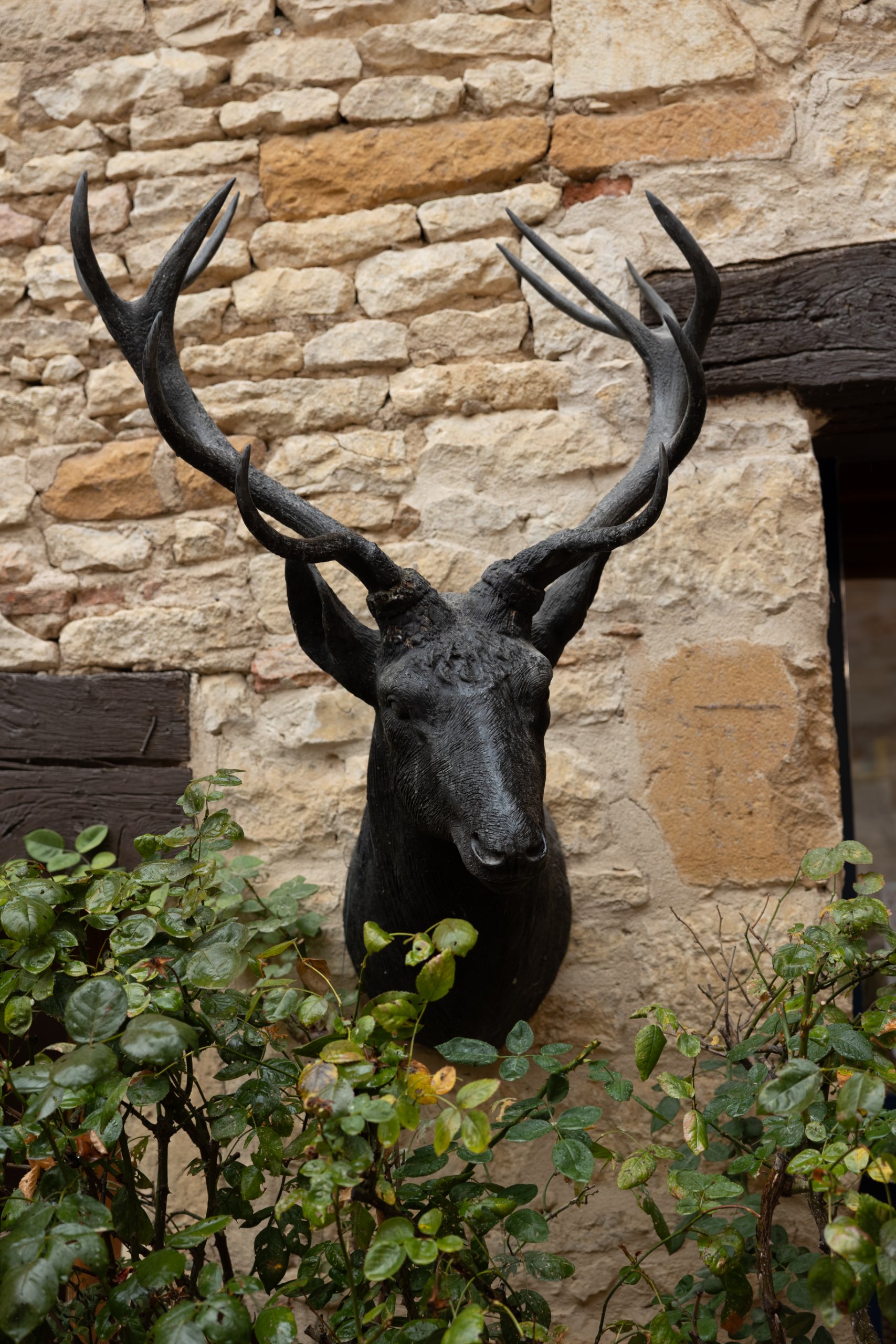 Wedding in the French Alps (Château du Pin), October 2026 — photo 4 of 40 by Adel B.