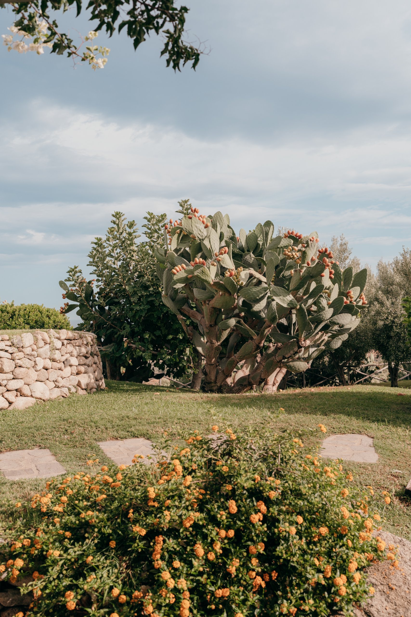 Wedding in Calabria (Tenuta Dalia, Isca sullo Ionio), September 2026 — photo 16 of 80 by Alessandro M.