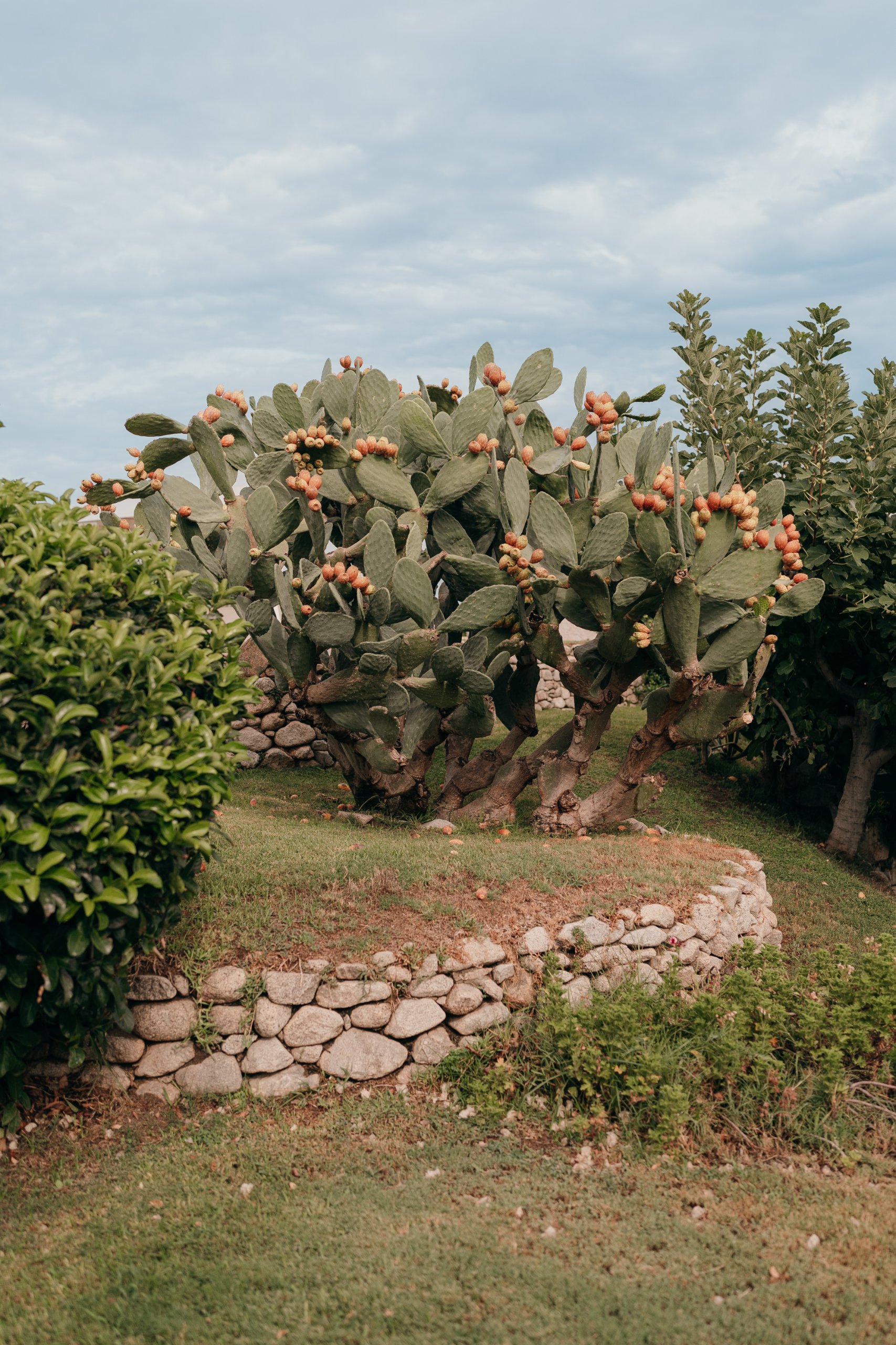 Wedding in Calabria (Tenuta Dalia, Isca sullo Ionio), September 2026 — photo 4 of 80 by Alessandro M.