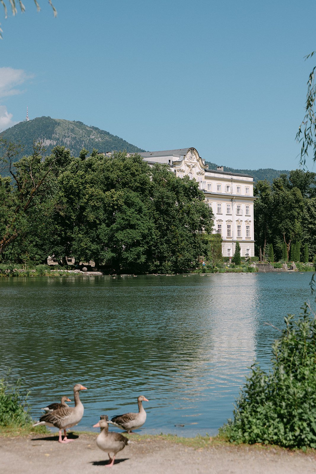Matrimonio intimo a Salisburgo (Mattsee, Salzburg), luglio 2026 — foto 24 di 37, scattata da Jewgenia B.