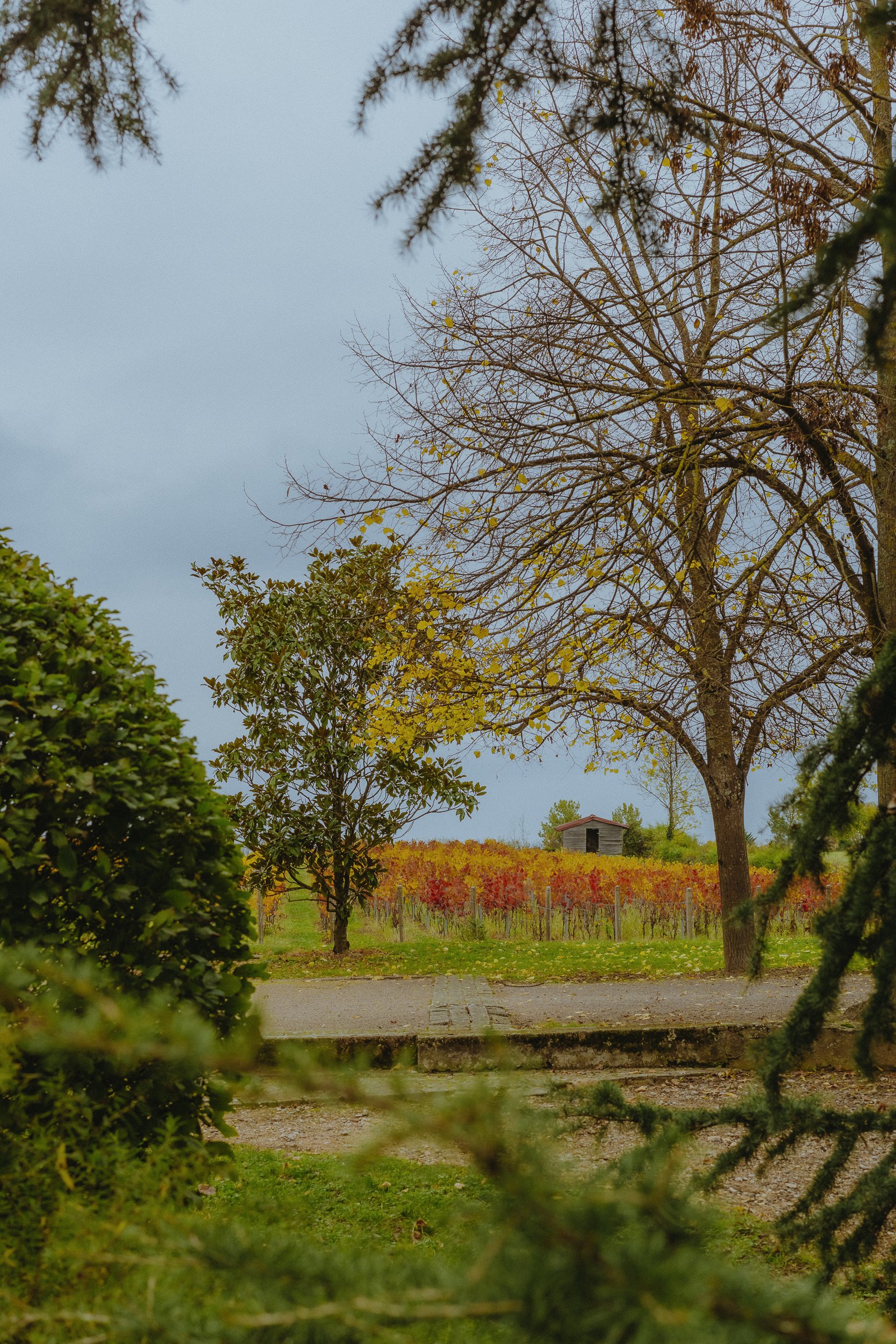 Wedding in Burgundy & Champagne (Château des Broyers), November 2025 — photo 6 of 39 by Andrés F.